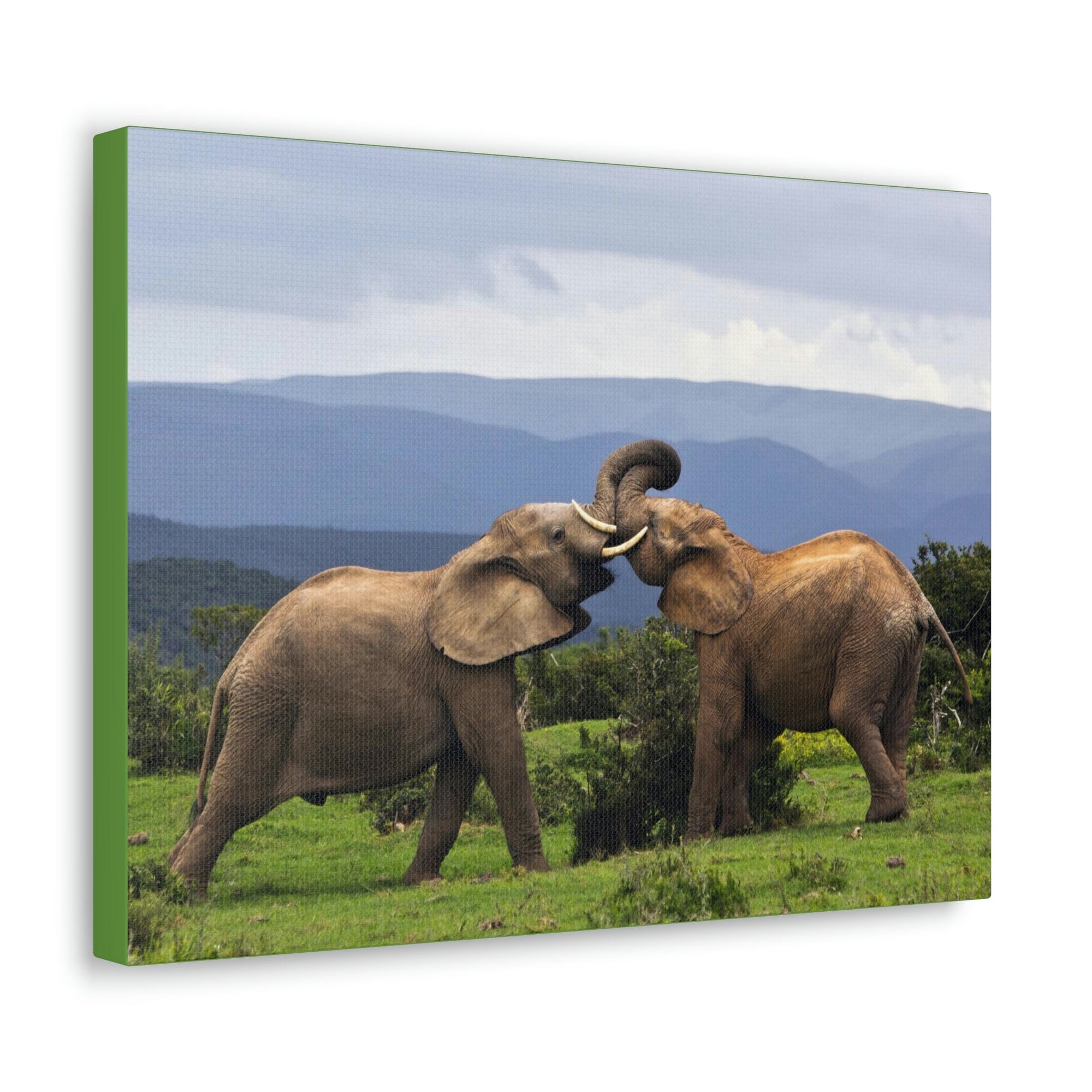 Funny African Elephant Silly African Elephant Couple Wall Art Ready to Hang Unframed-Express Your Love Gifts