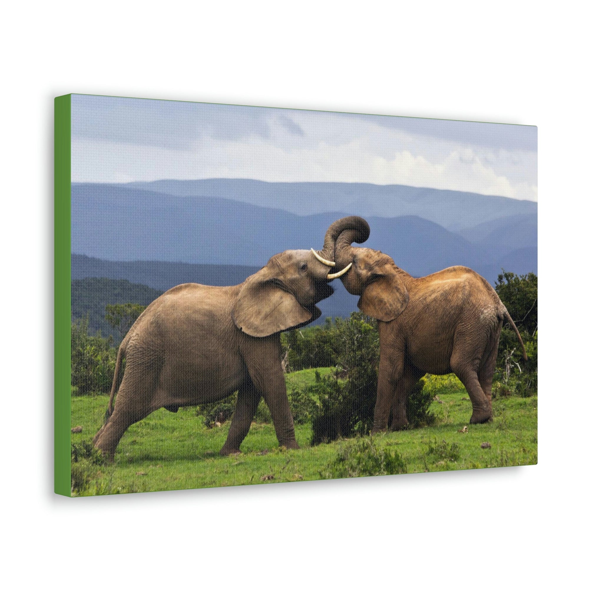 Funny African Elephant Silly African Elephant Couple Wall Art Ready to Hang Unframed-Express Your Love Gifts