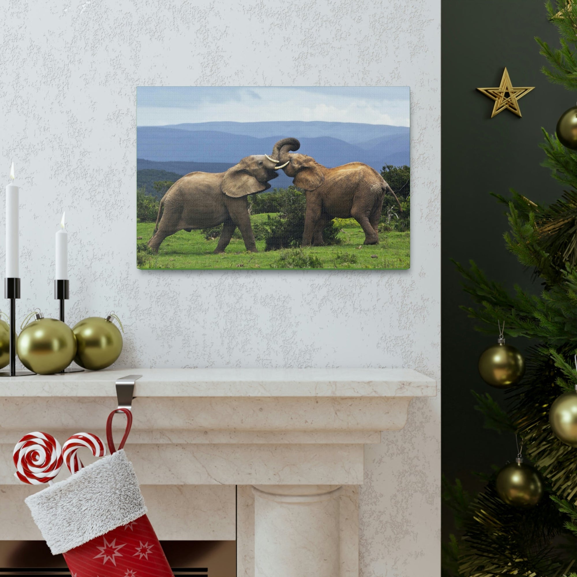 Funny African Elephant Silly African Elephant Couple Wall Art Ready to Hang Unframed-Express Your Love Gifts