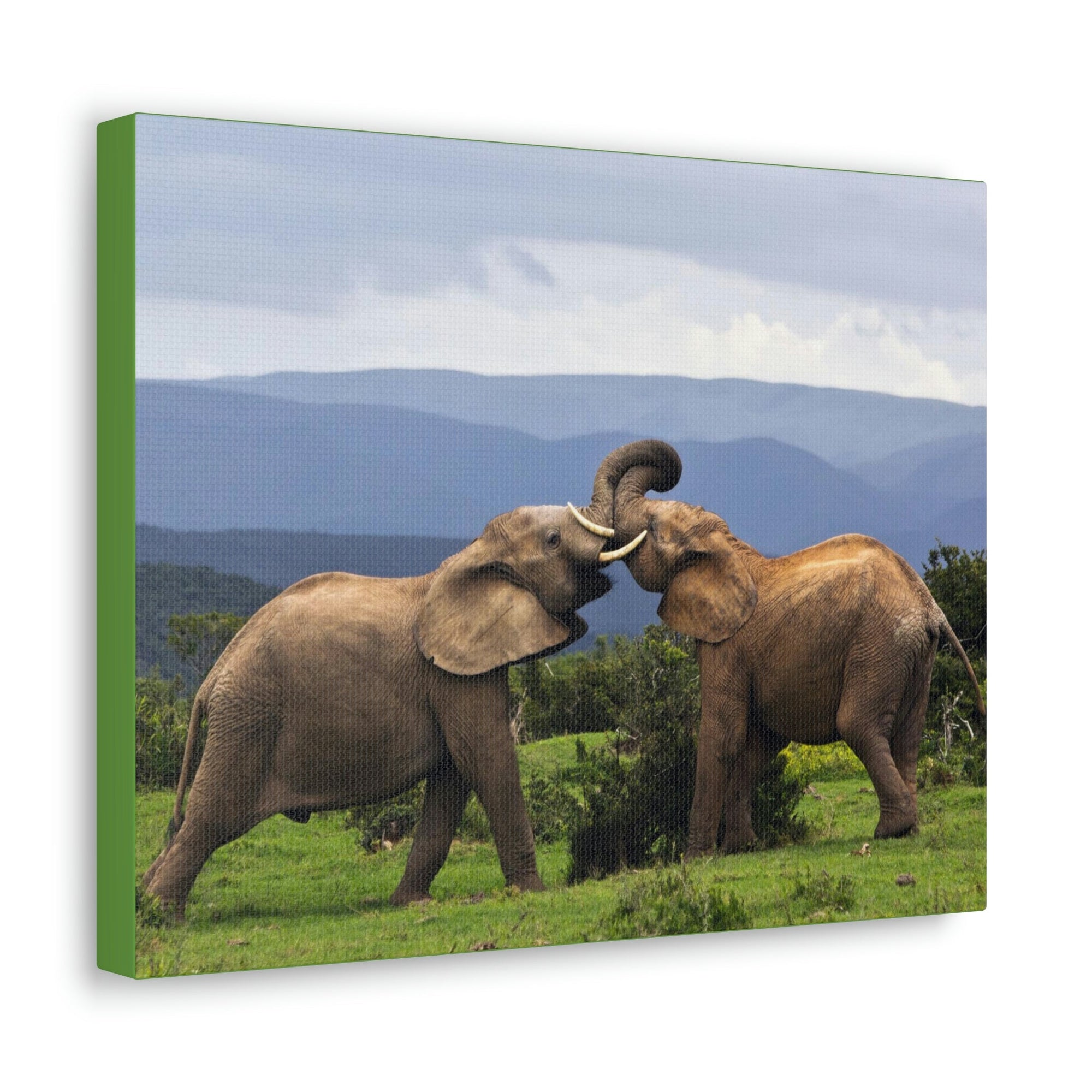 Funny African Elephant Silly African Elephant Couple Wall Art Ready to Hang Unframed-Express Your Love Gifts