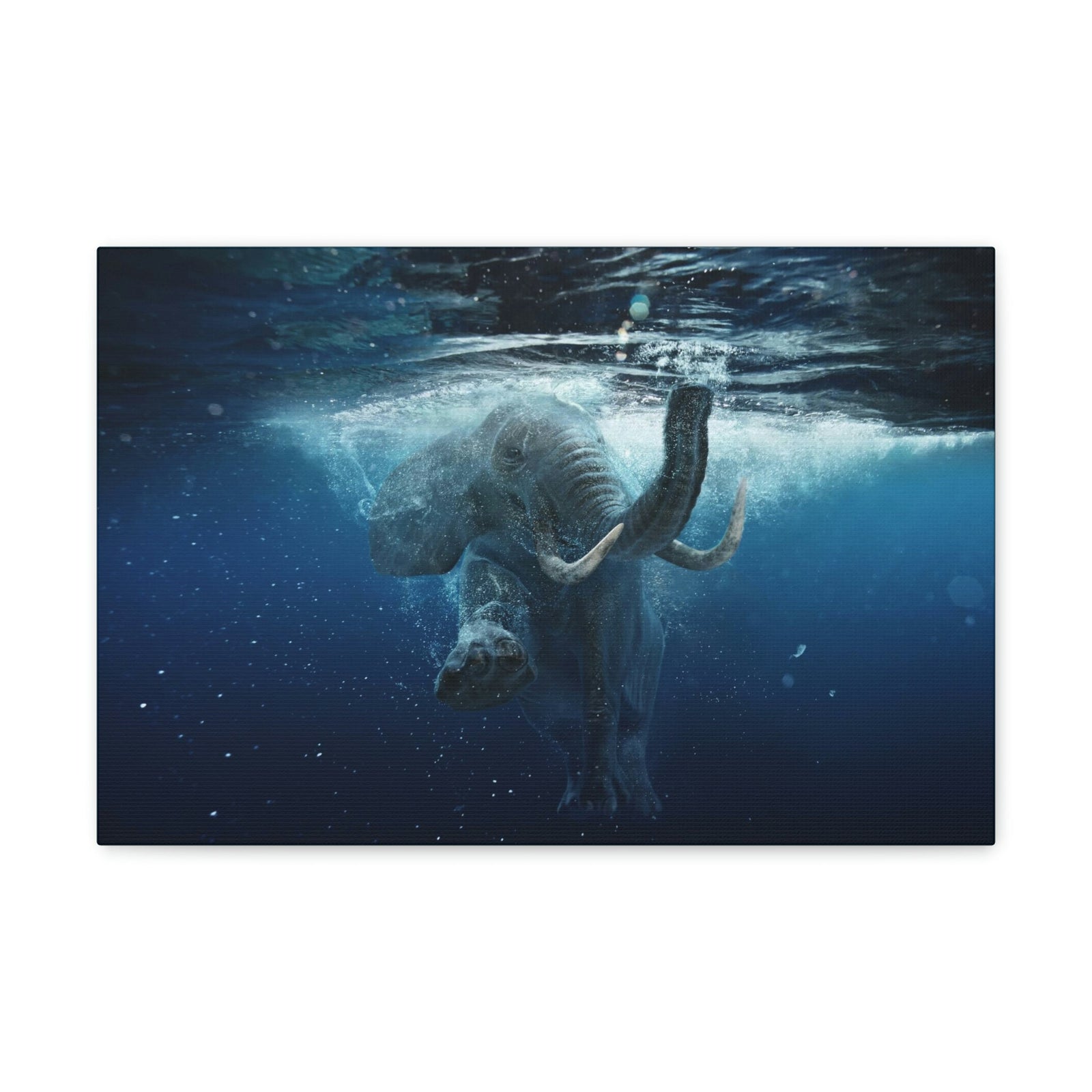 Funny African Elephant Silly African Elephant Outside Wall Art Ready to Hang Unframed-Express Your Love Gifts