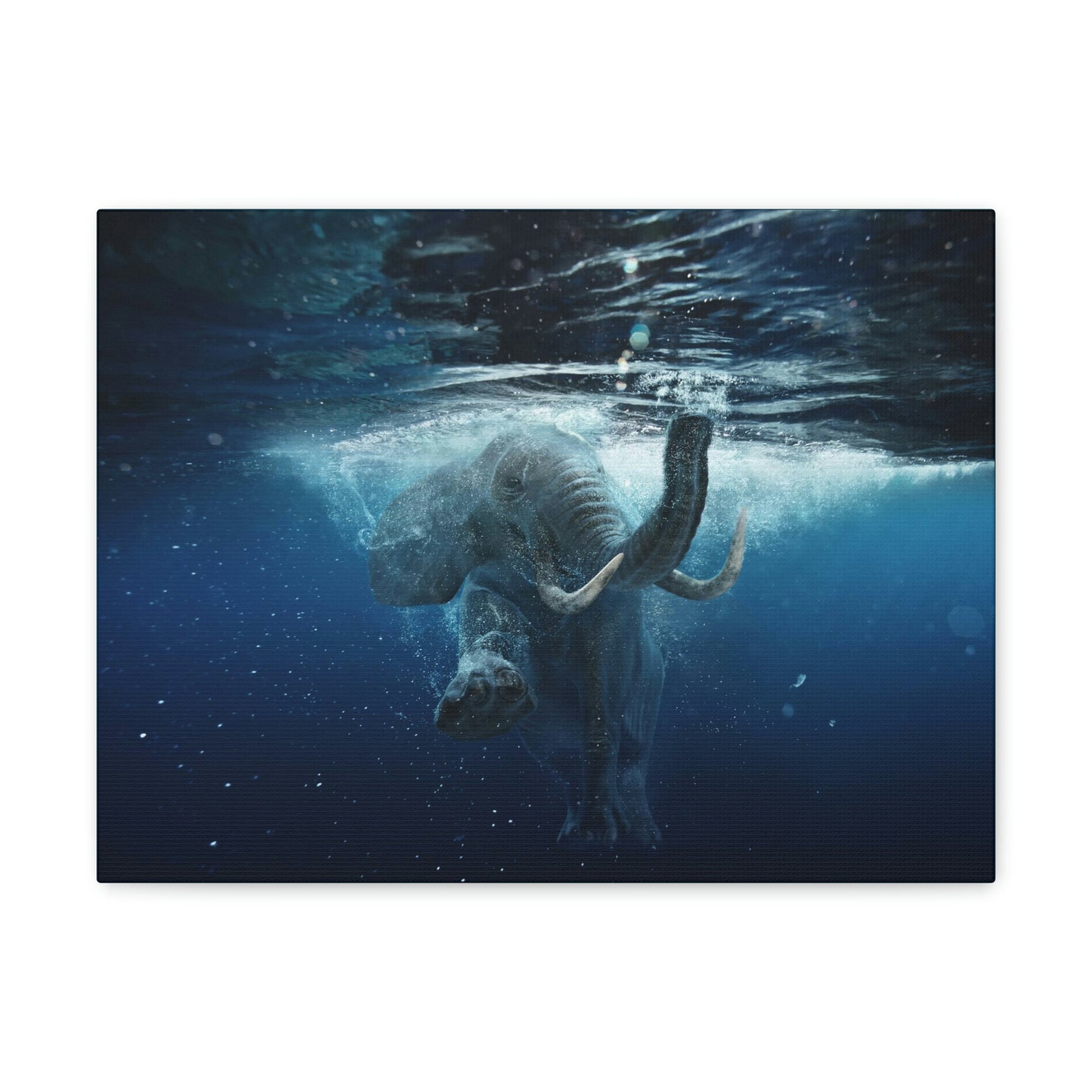 Funny African Elephant Silly African Elephant Outside Wall Art Ready to Hang Unframed-Express Your Love Gifts