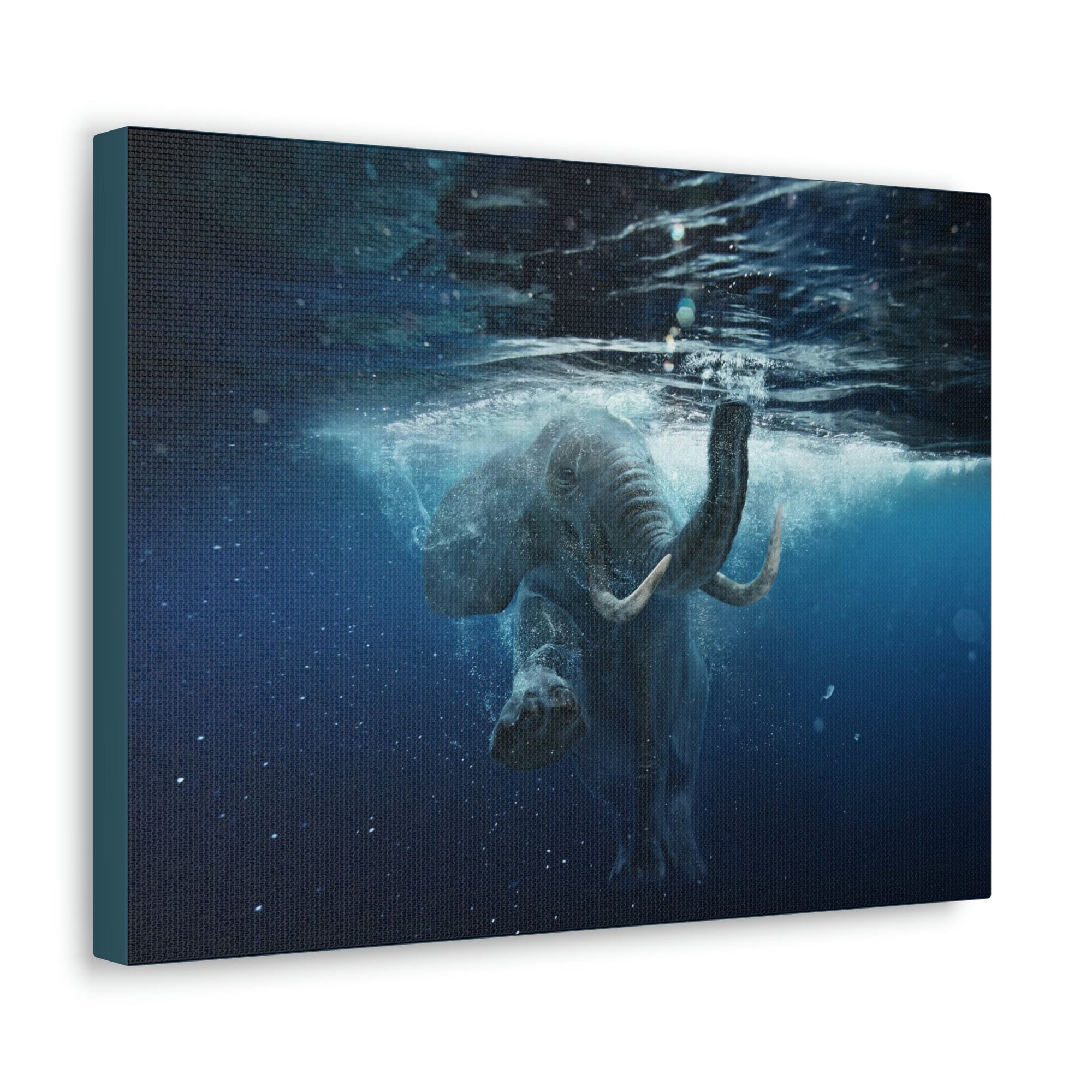 Funny African Elephant Silly African Elephant Outside Wall Art Ready to Hang Unframed-Express Your Love Gifts