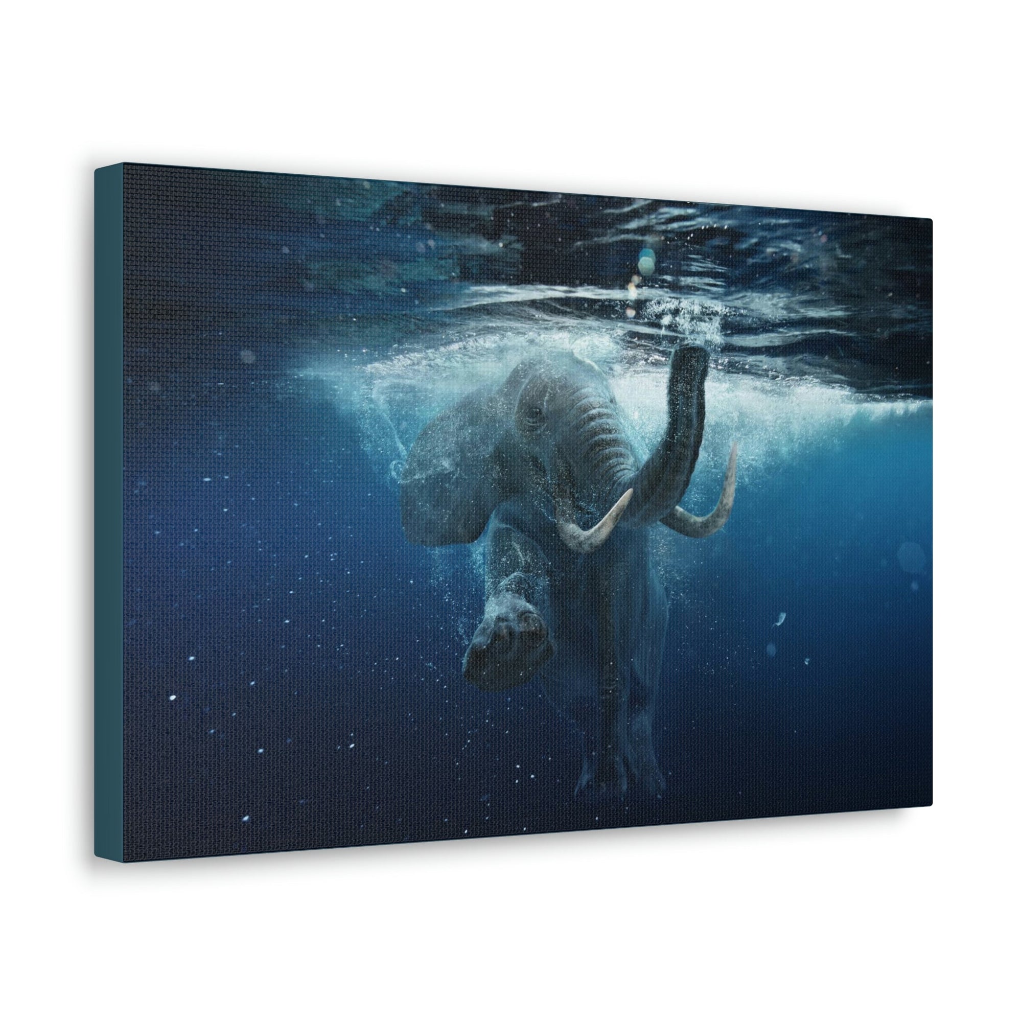 Funny African Elephant Silly African Elephant Outside Wall Art Ready to Hang Unframed-Express Your Love Gifts