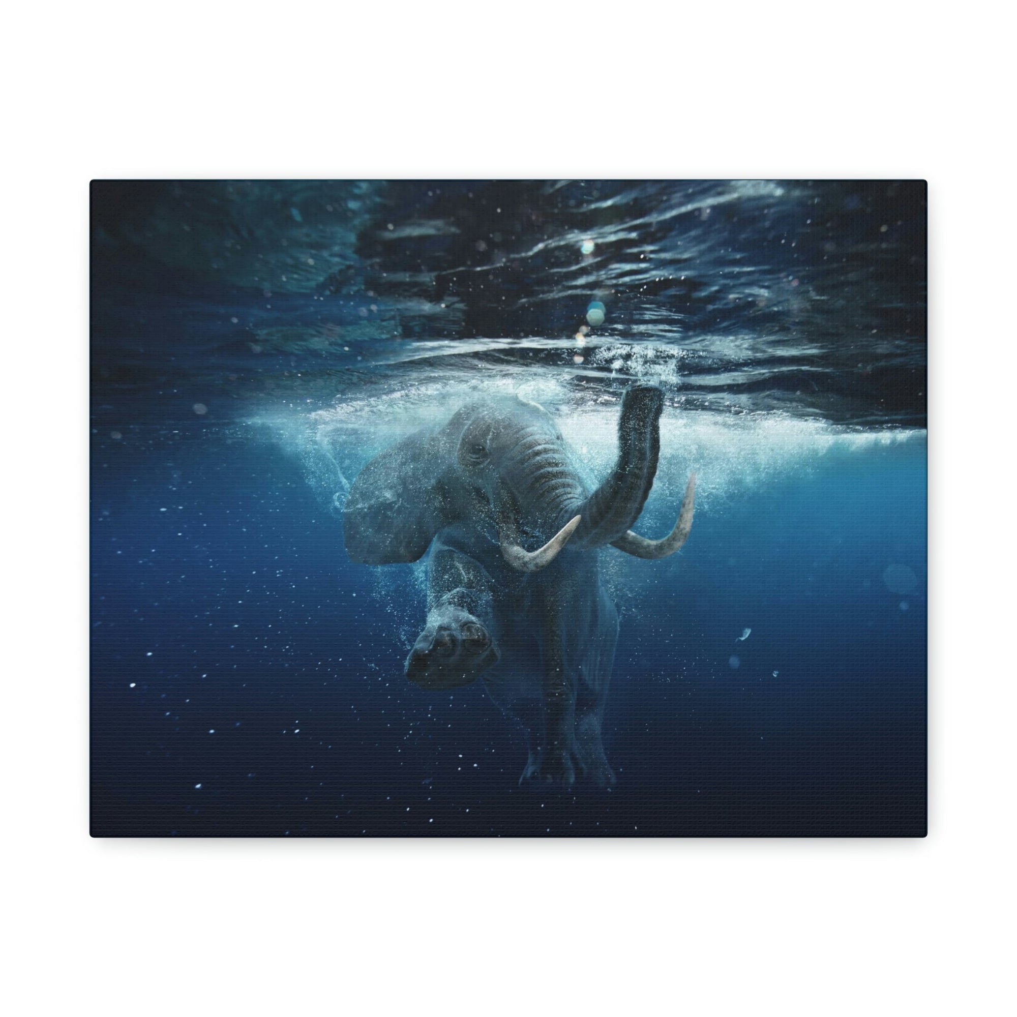 Funny African Elephant Silly African Elephant Outside Wall Art Ready to Hang Unframed-Express Your Love Gifts