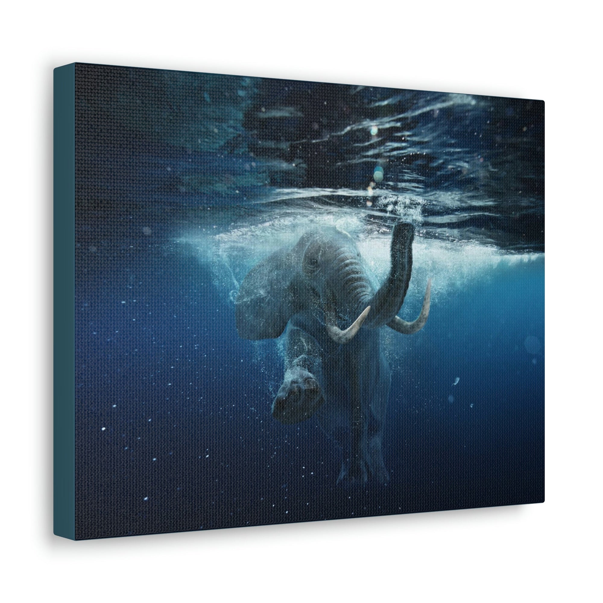 Funny African Elephant Silly African Elephant Outside Wall Art Ready to Hang Unframed-Express Your Love Gifts