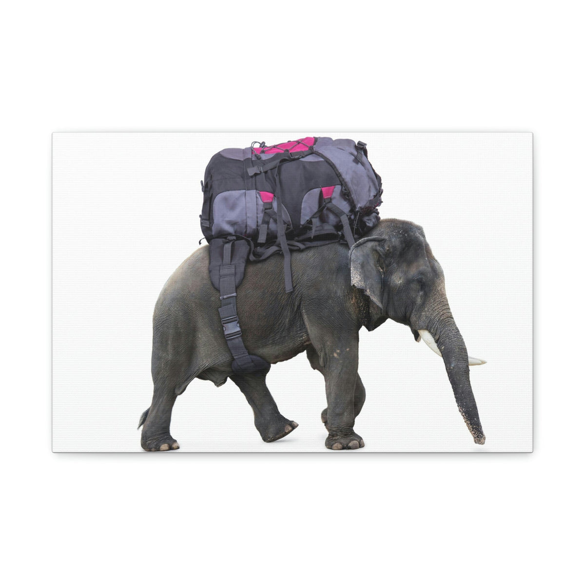 Funny African Elephant Silly African Elephant With a Backpack Inside Wall Art Ready to Hang Unframed-Express Your Love Gifts