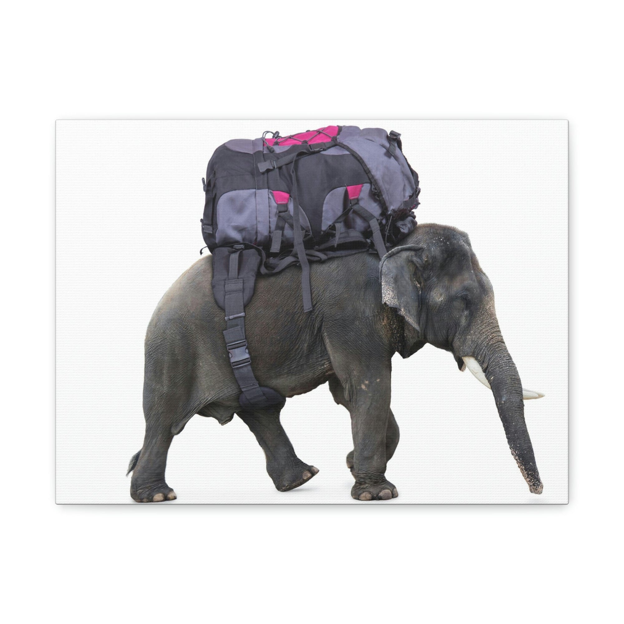 Funny African Elephant Silly African Elephant With a Backpack Inside Wall Art Ready to Hang Unframed-Express Your Love Gifts