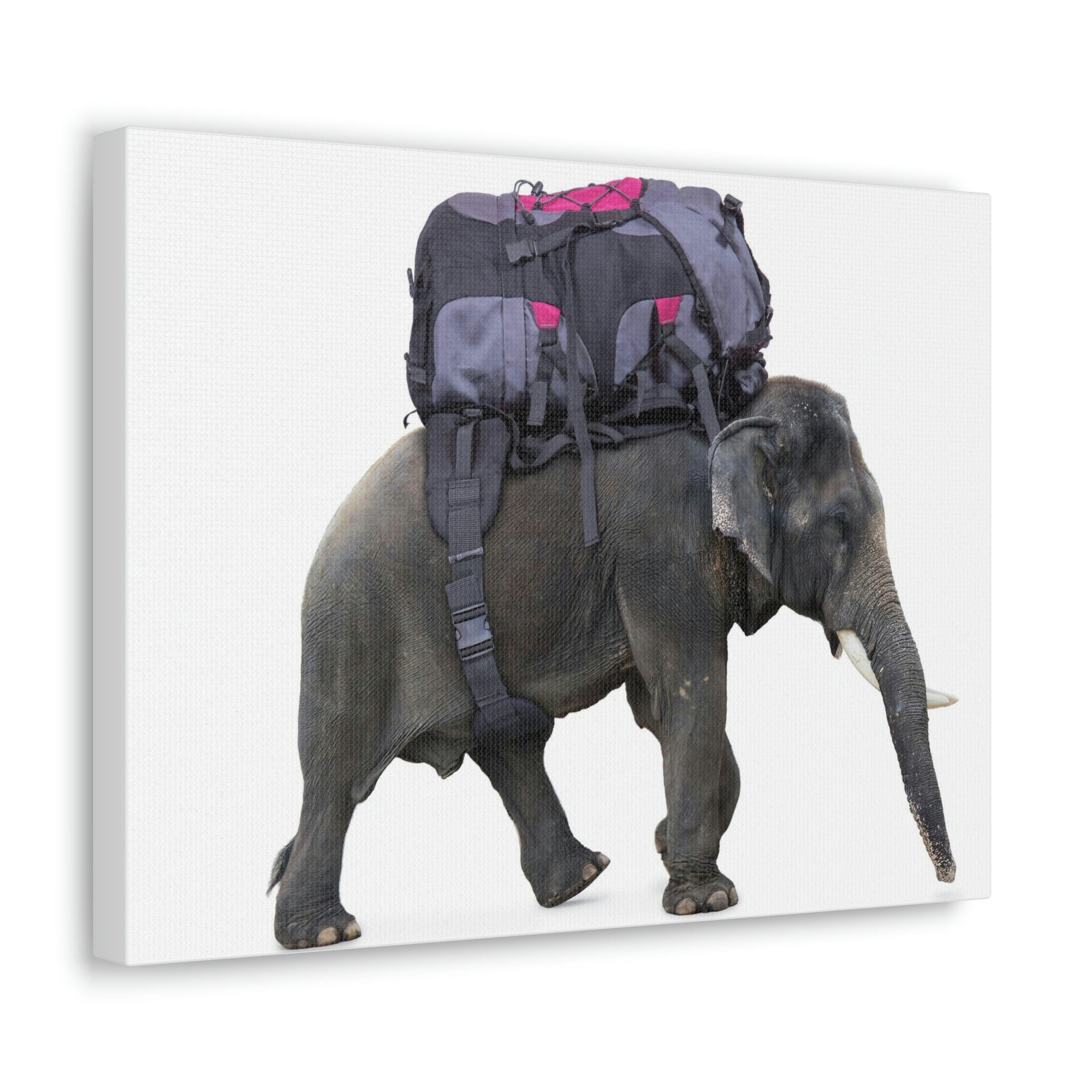 Funny African Elephant Silly African Elephant With a Backpack Inside Wall Art Ready to Hang Unframed-Express Your Love Gifts