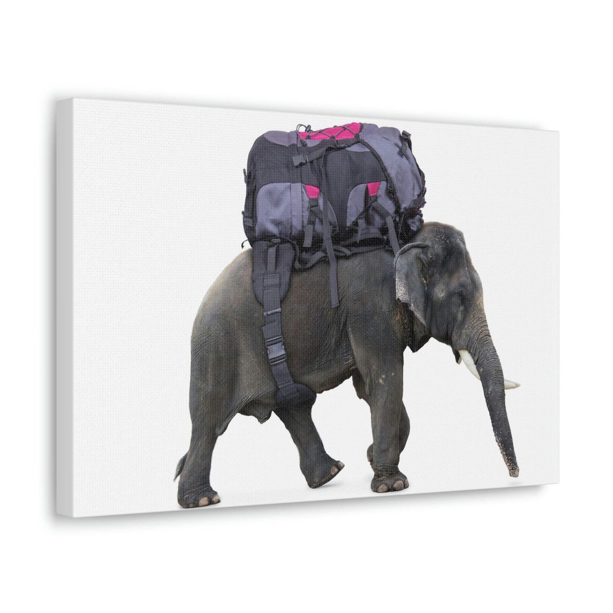 Funny African Elephant Silly African Elephant With a Backpack Inside Wall Art Ready to Hang Unframed-Express Your Love Gifts