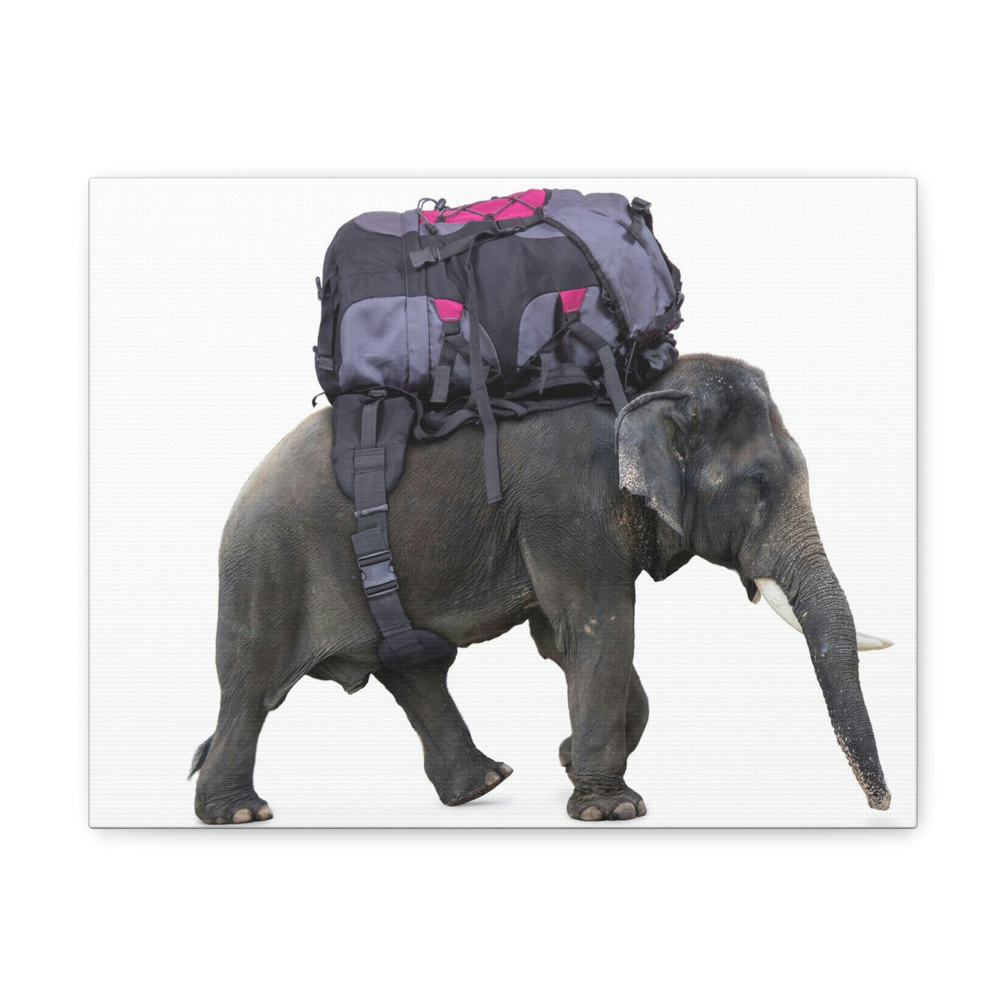 Funny African Elephant Silly African Elephant With a Backpack Inside Wall Art Ready to Hang Unframed-Express Your Love Gifts