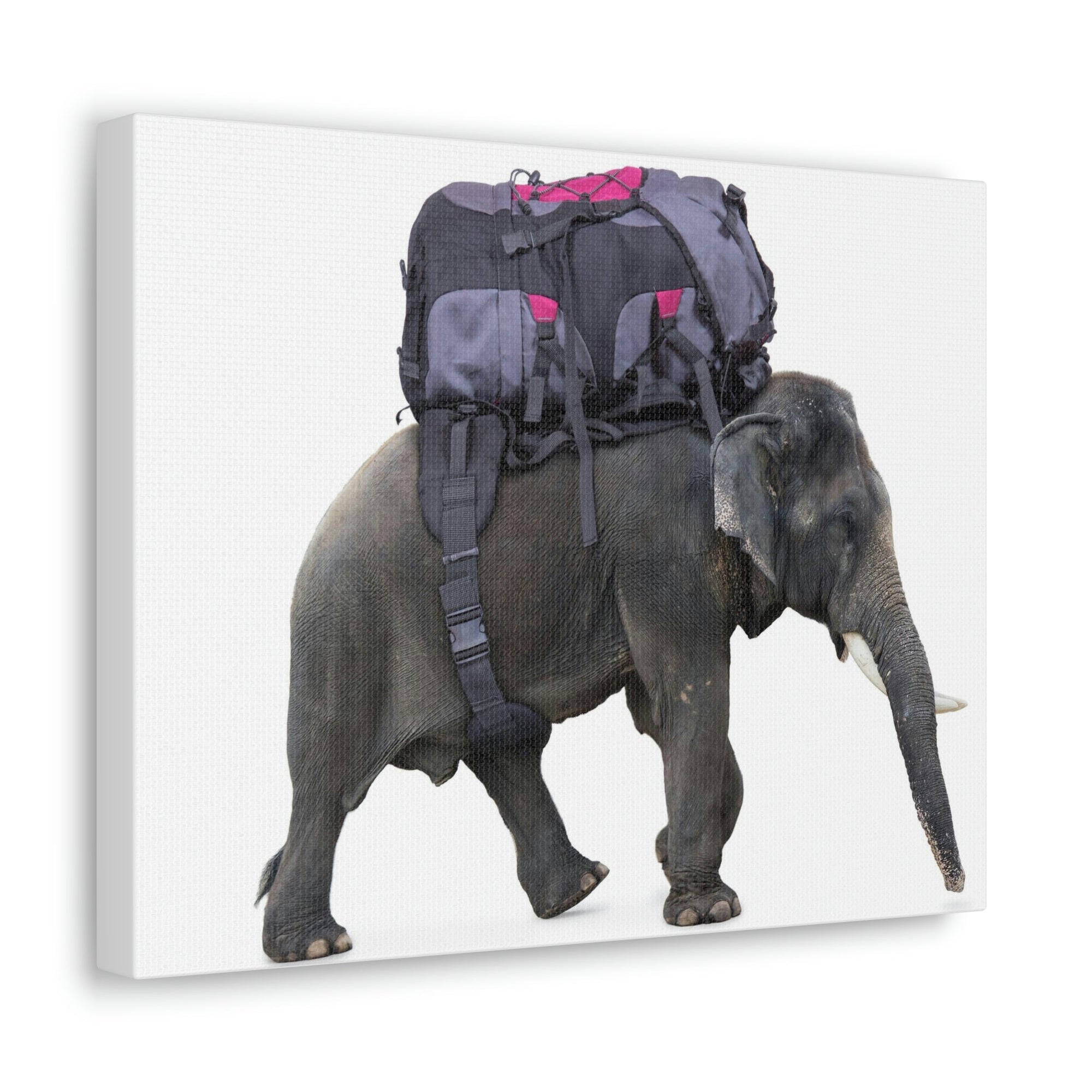 Funny African Elephant Silly African Elephant With a Backpack Inside Wall Art Ready to Hang Unframed-Express Your Love Gifts