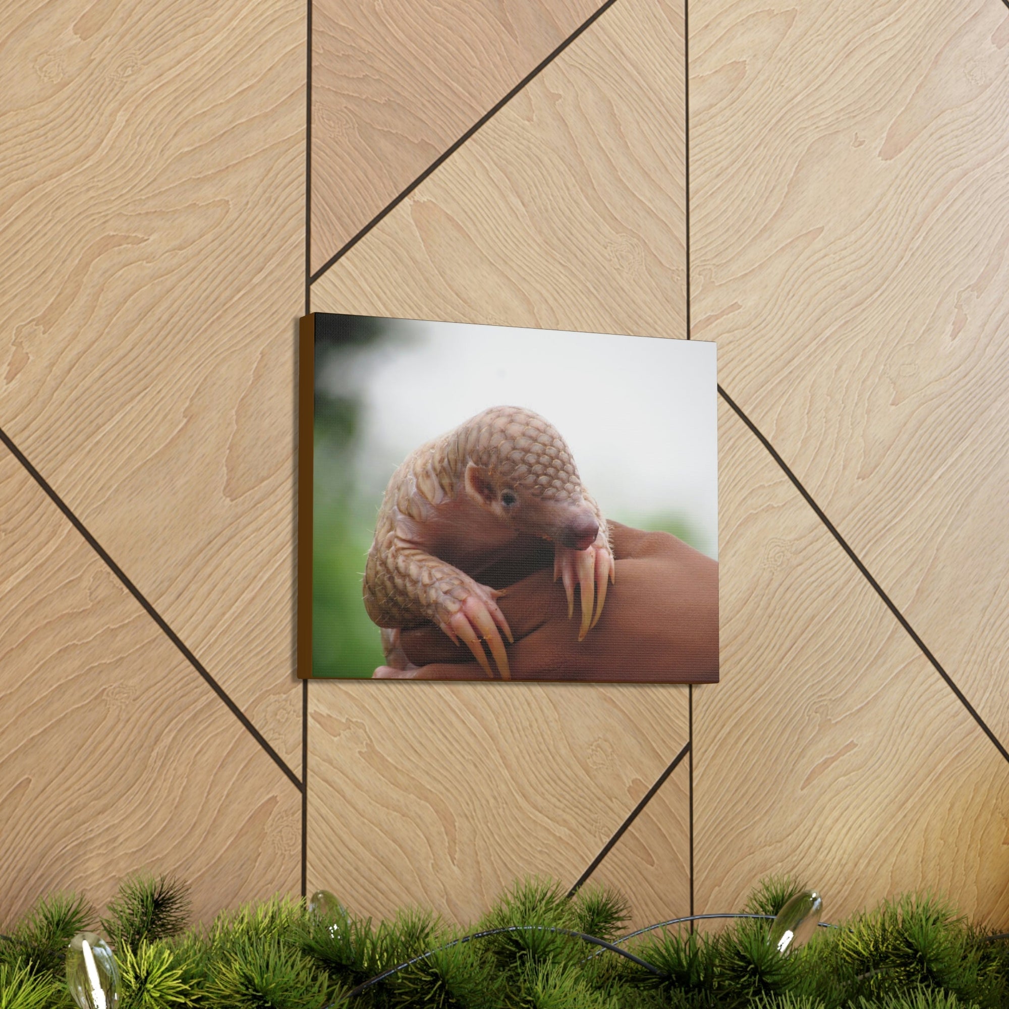 Funny African Tree Pangolin Silly African Tree Pangolin Inside Wall Art Ready to Hang Unframed-Express Your Love Gifts