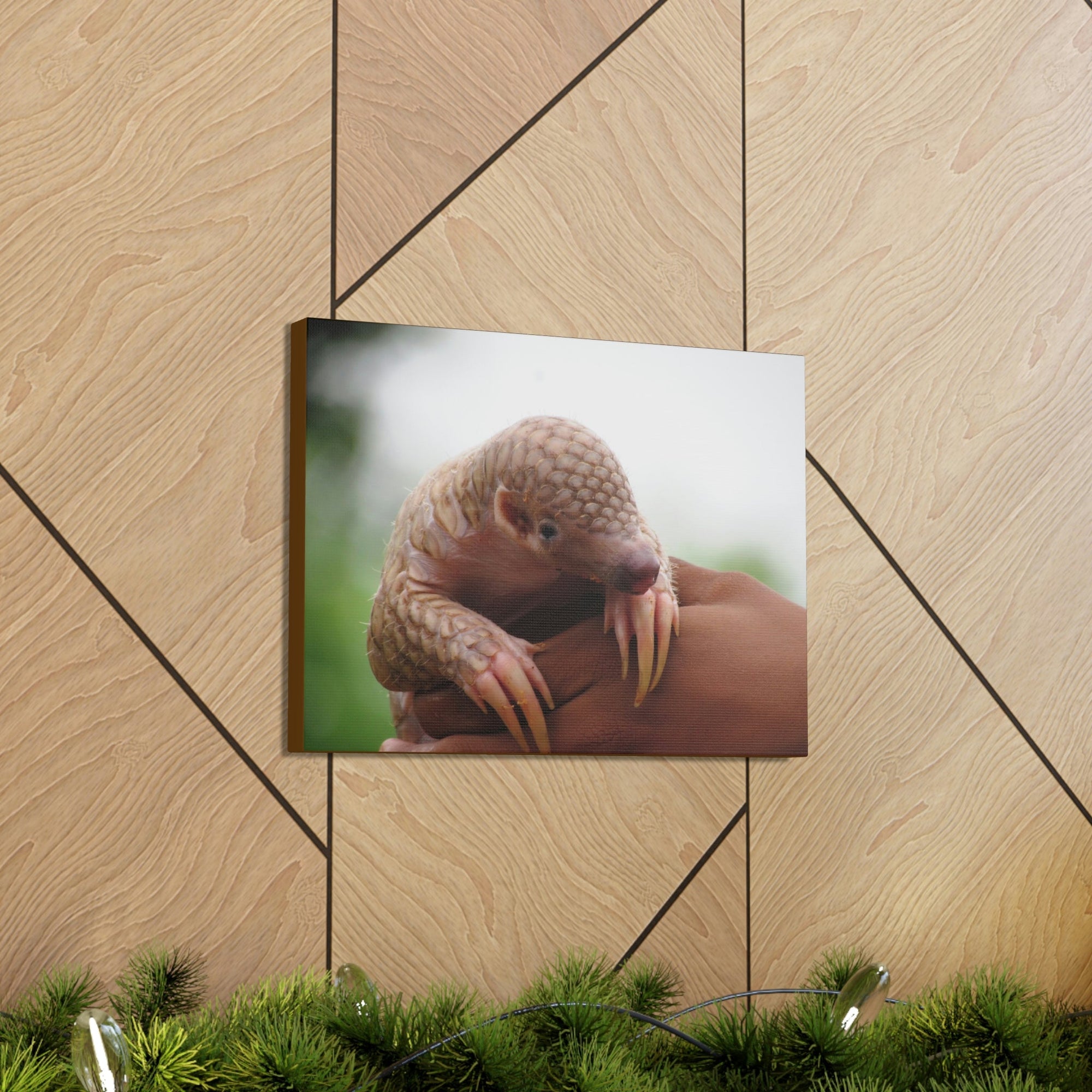 Funny African Tree Pangolin Silly African Tree Pangolin Inside Wall Art Ready to Hang Unframed-Express Your Love Gifts