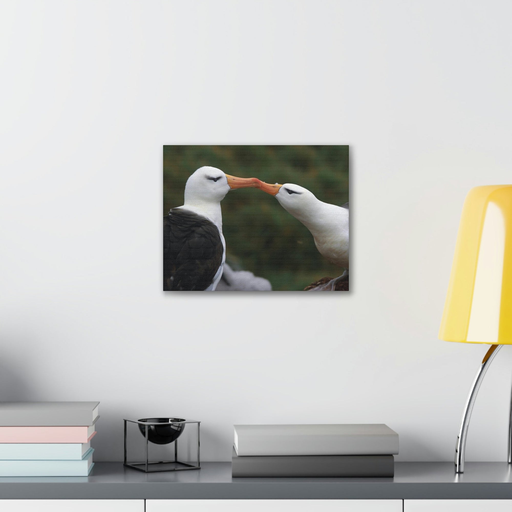 Funny Albatross Couple Kissing Outside Wall Art Ready to Hang Unframed-Express Your Love Gifts