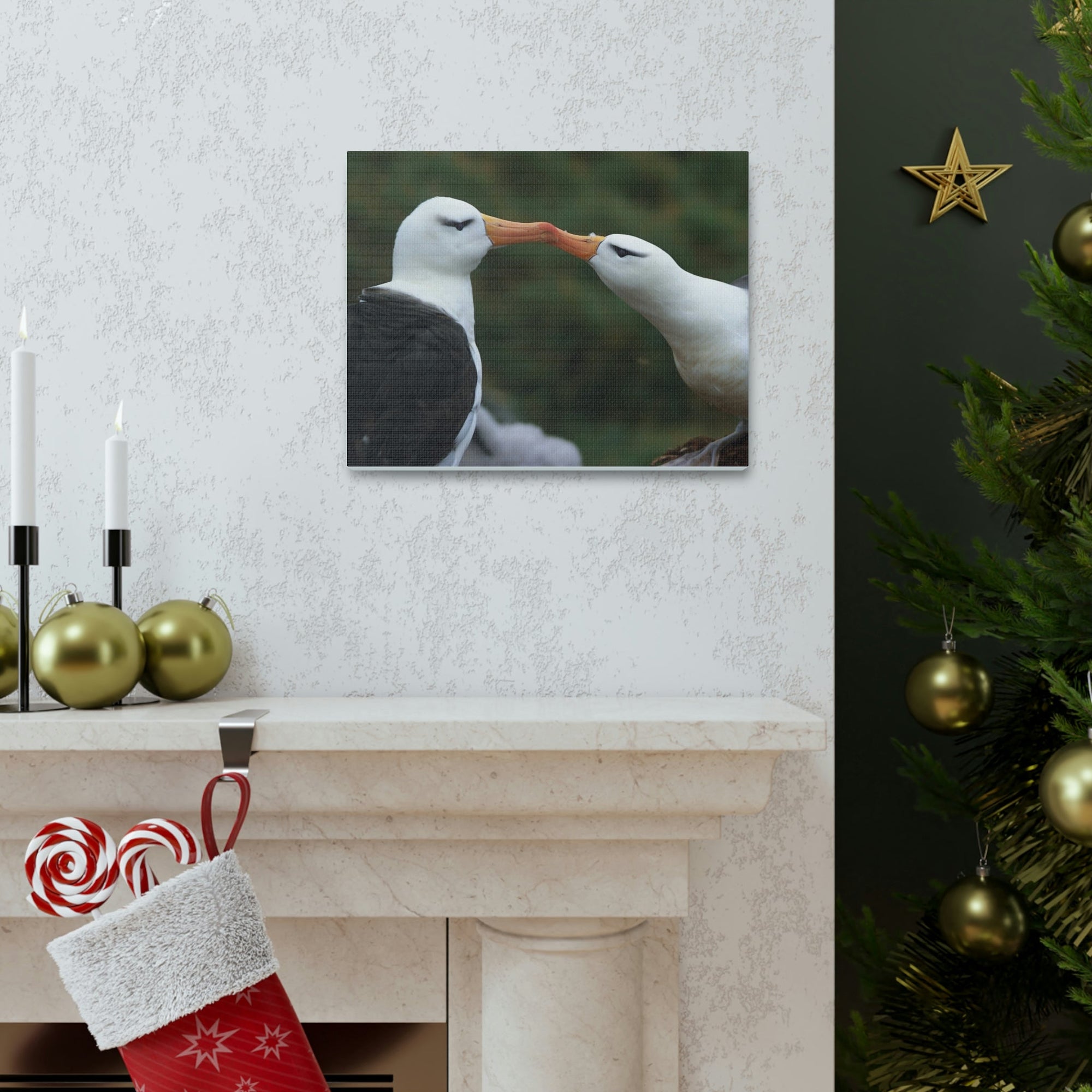 Funny Albatross Couple Kissing Outside Wall Art Ready to Hang Unframed-Express Your Love Gifts