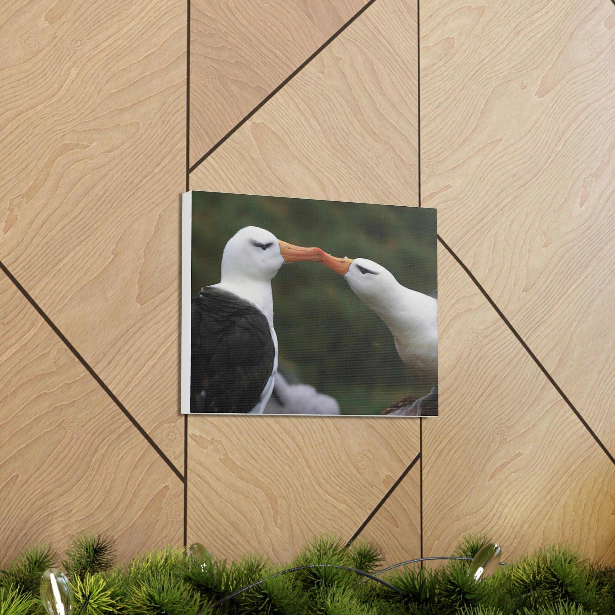 Funny Albatross Couple Kissing Outside Wall Art Ready to Hang Unframed-Express Your Love Gifts