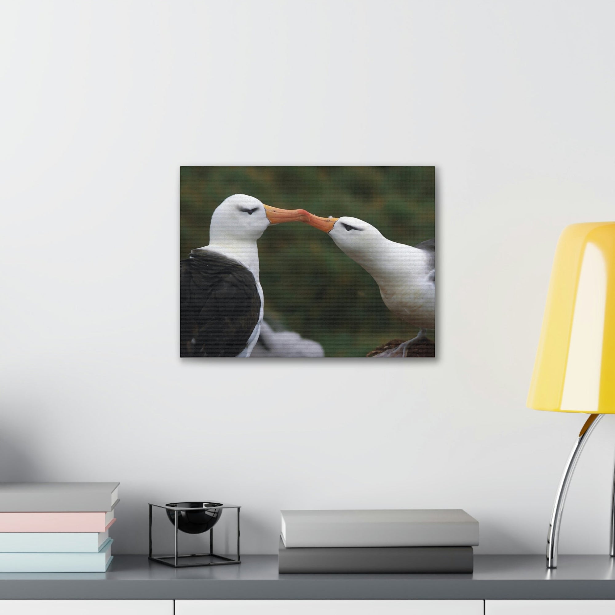 Funny Albatross Couple Kissing Outside Wall Art Ready to Hang Unframed-Express Your Love Gifts