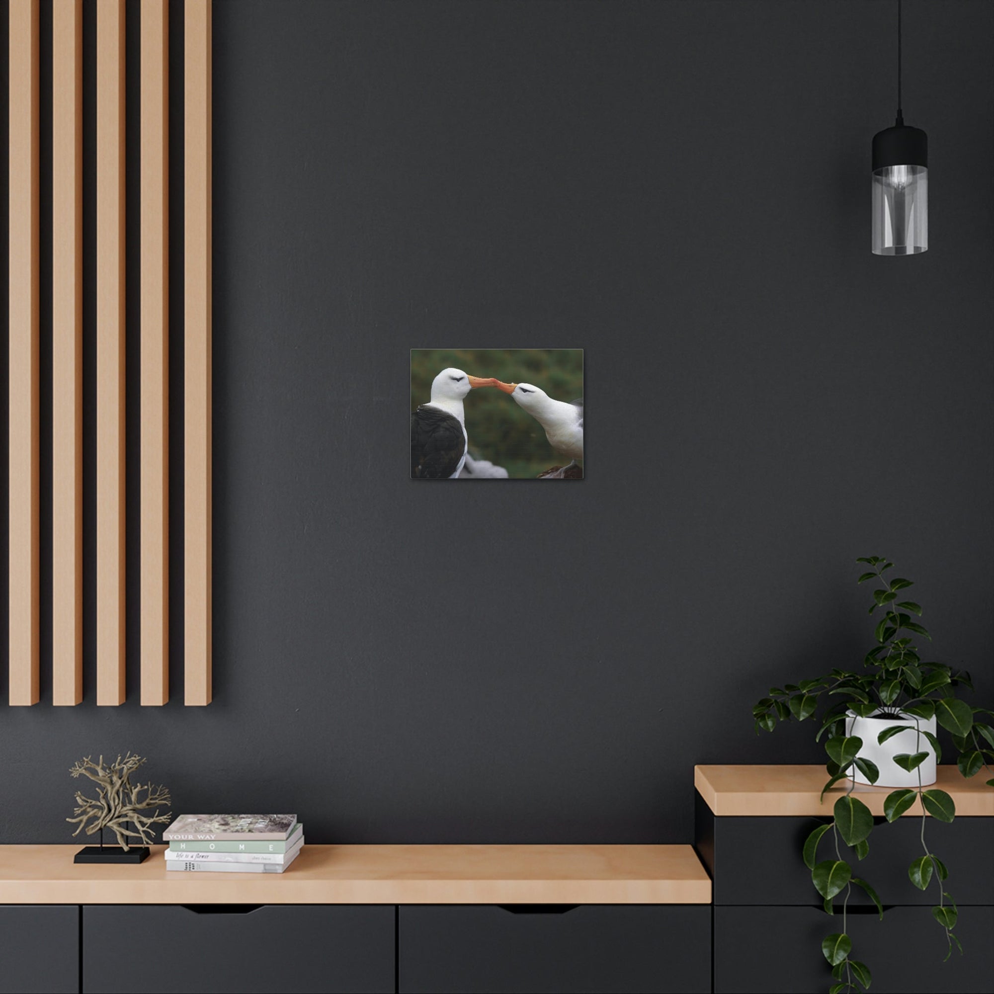 Funny Albatross Couple Kissing Outside Wall Art Ready to Hang Unframed-Express Your Love Gifts