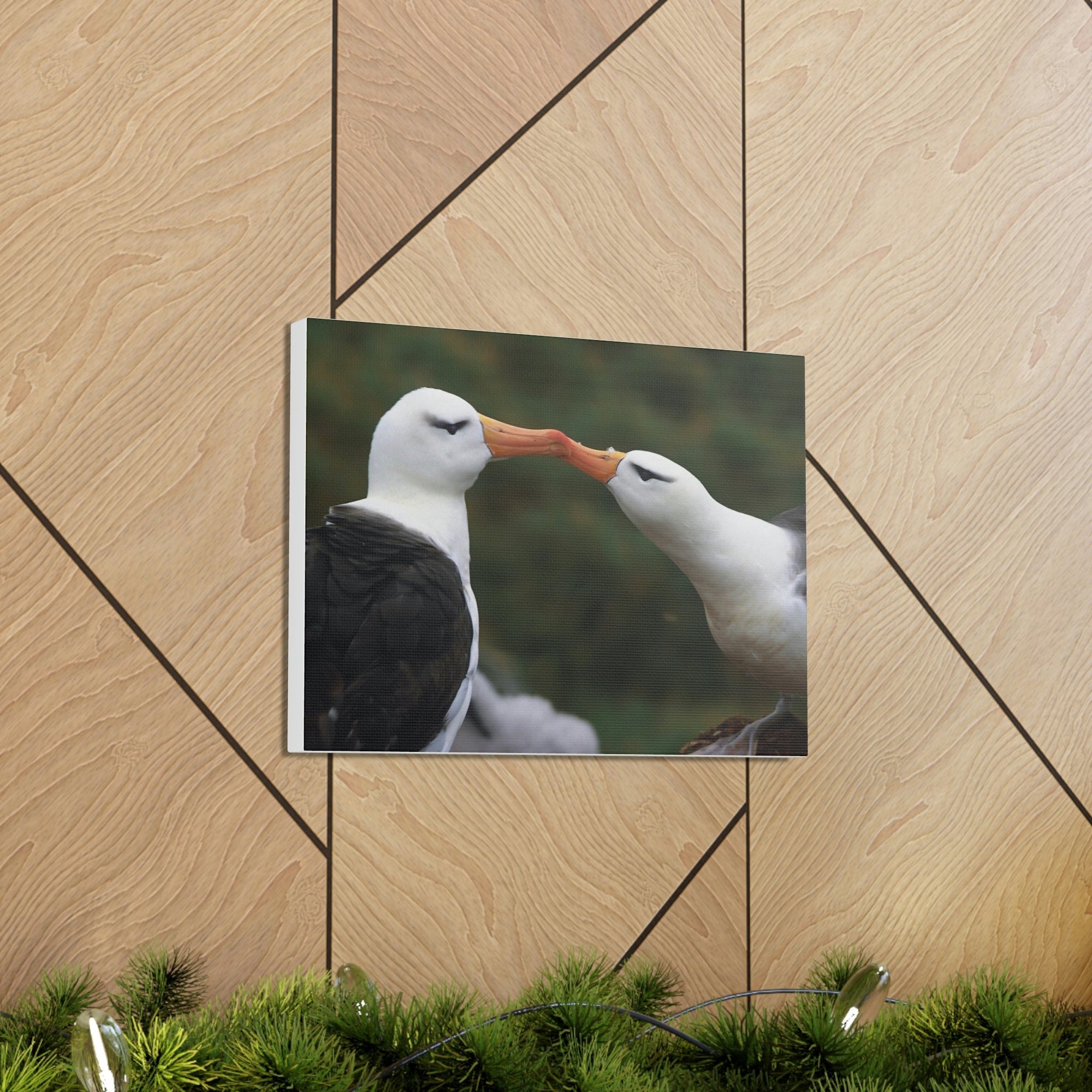 Funny Albatross Couple Kissing Outside Wall Art Ready to Hang Unframed-Express Your Love Gifts