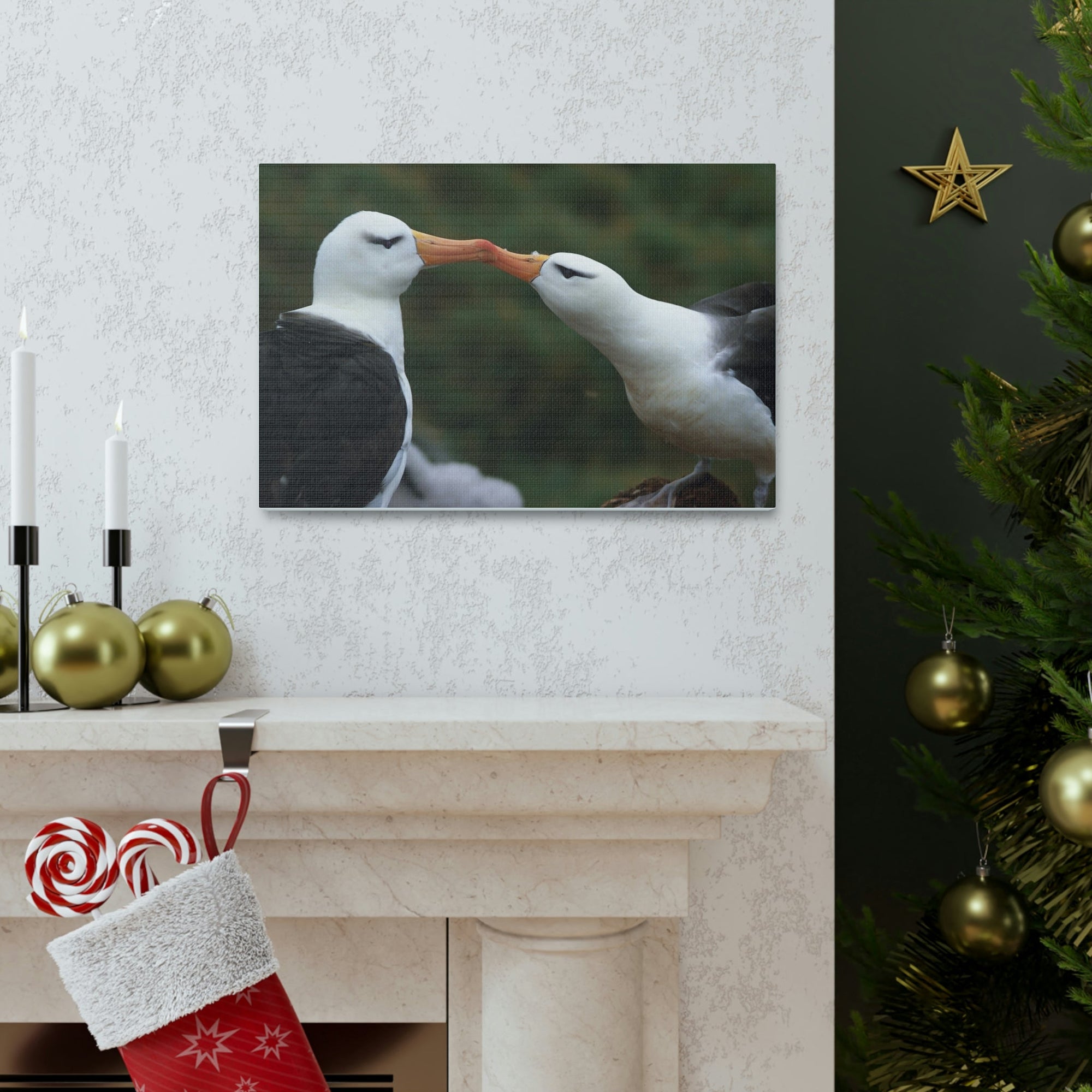 Funny Albatross Couple Kissing Outside Wall Art Ready to Hang Unframed-Express Your Love Gifts