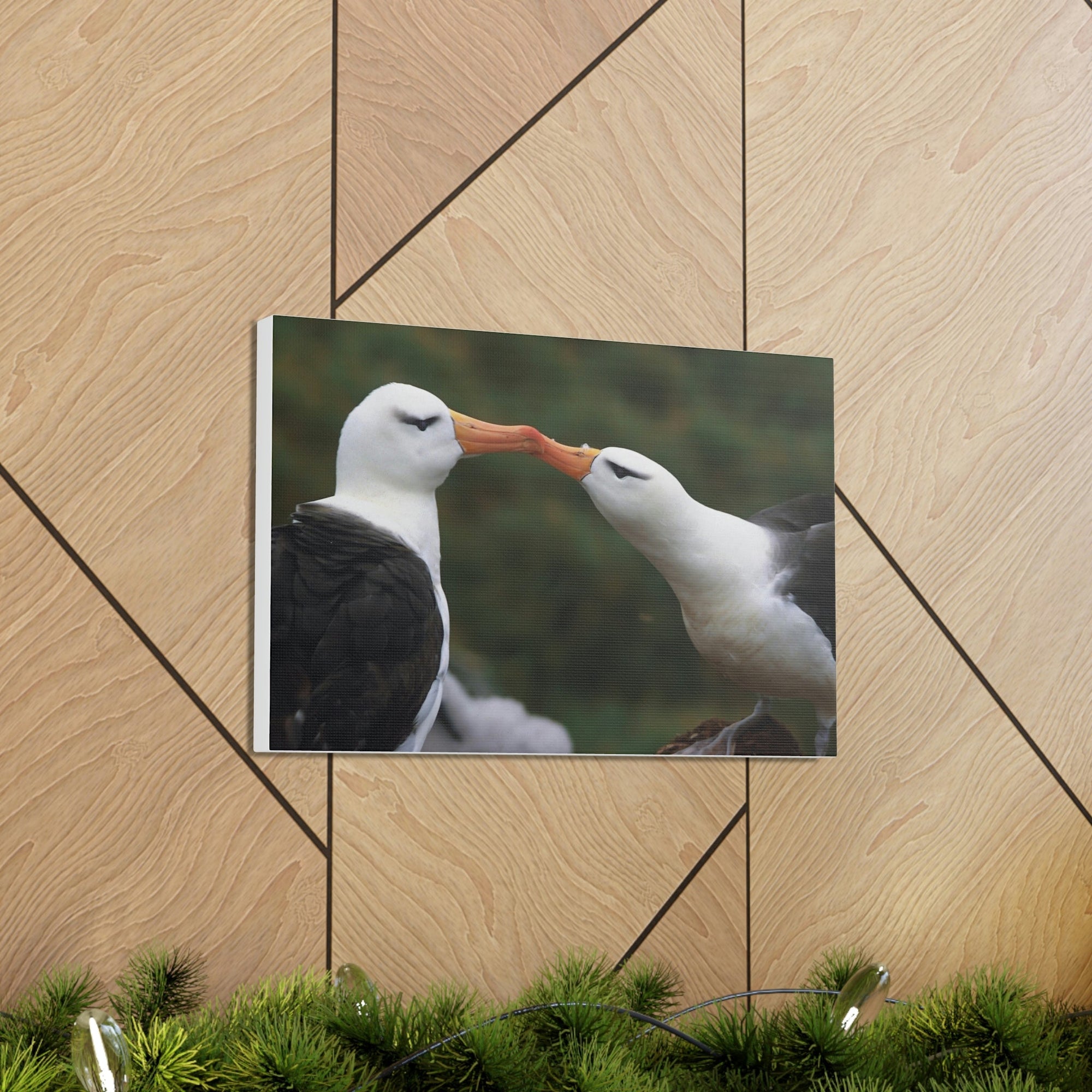 Funny Albatross Couple Kissing Outside Wall Art Ready to Hang Unframed-Express Your Love Gifts