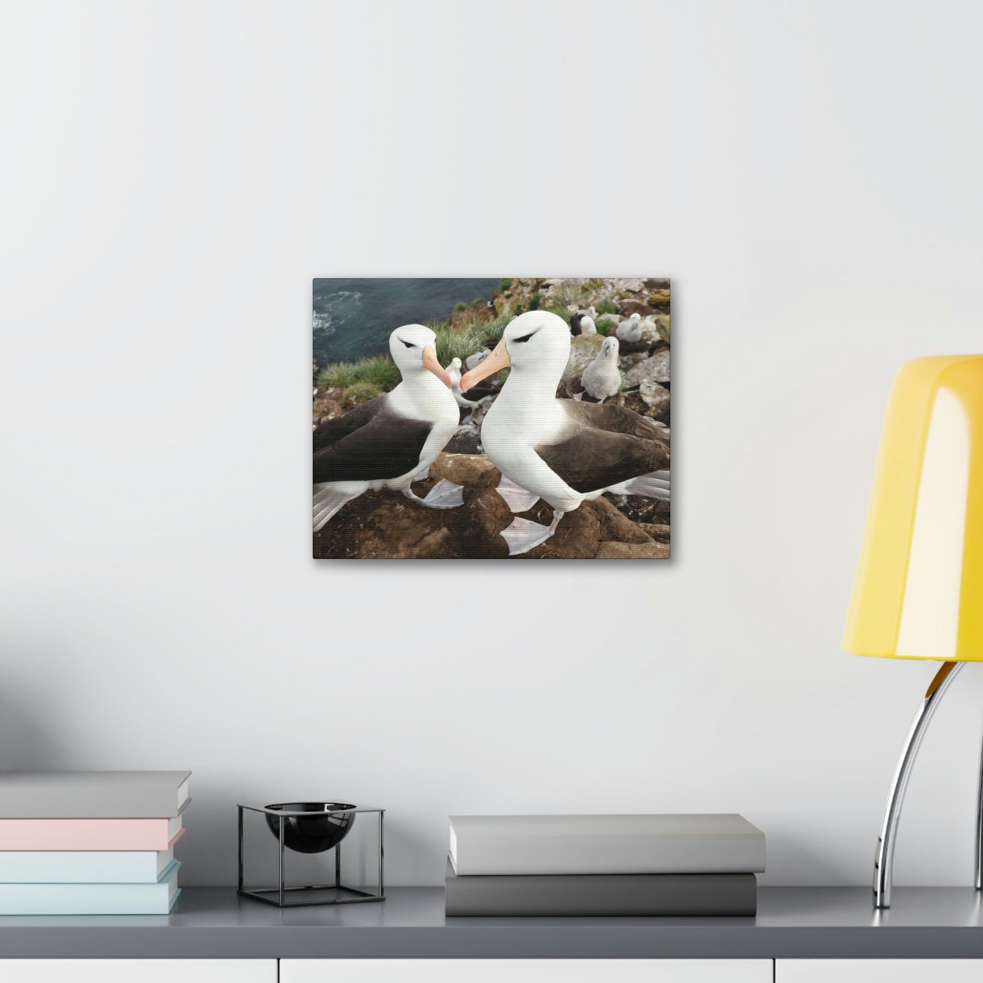 Funny Albatross Kissing Close Up Outside Wall Art Ready to Hang Unframed-Express Your Love Gifts