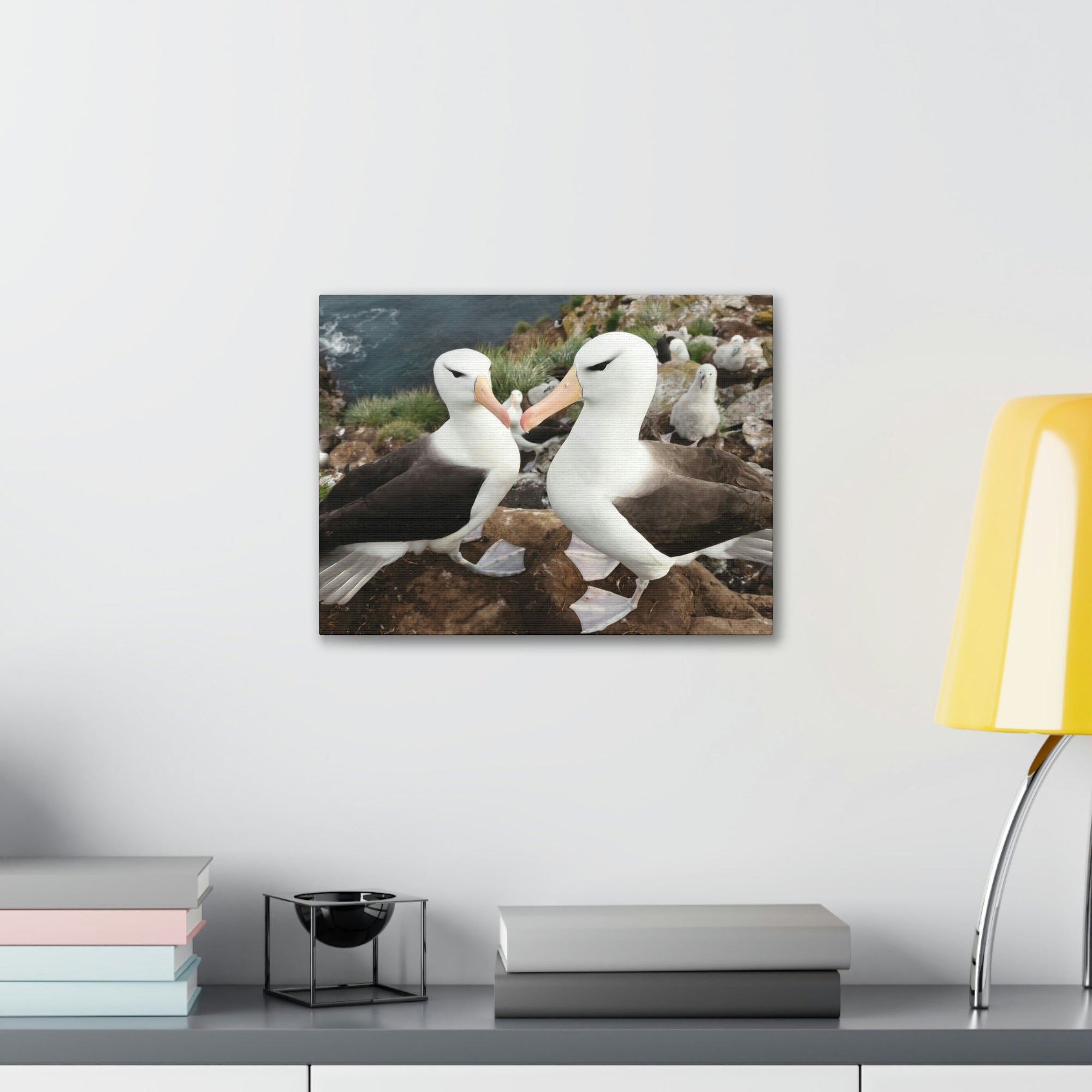 Funny Albatross Kissing Close Up Outside Wall Art Ready to Hang Unframed-Express Your Love Gifts