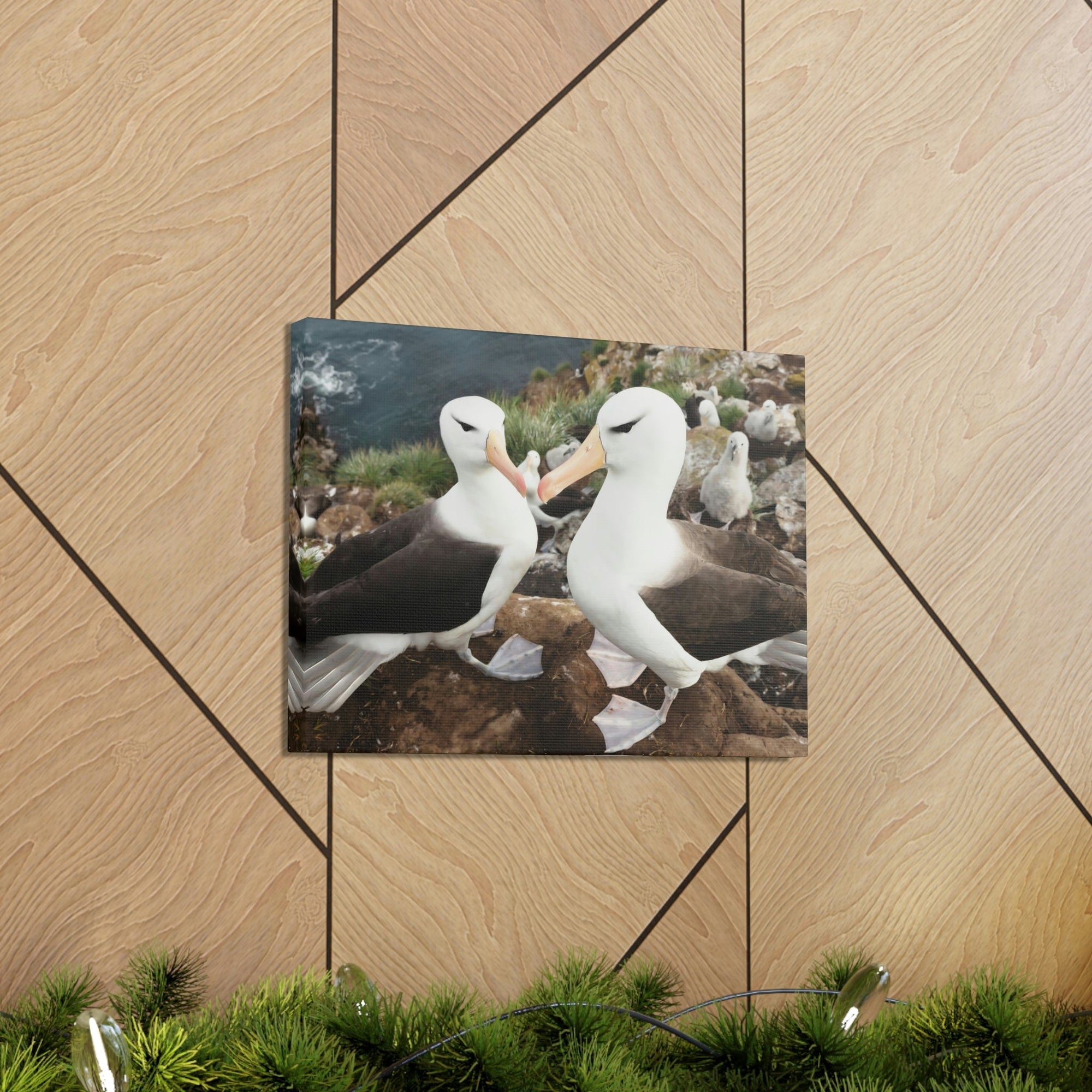 Funny Albatross Kissing Close Up Outside Wall Art Ready to Hang Unframed-Express Your Love Gifts