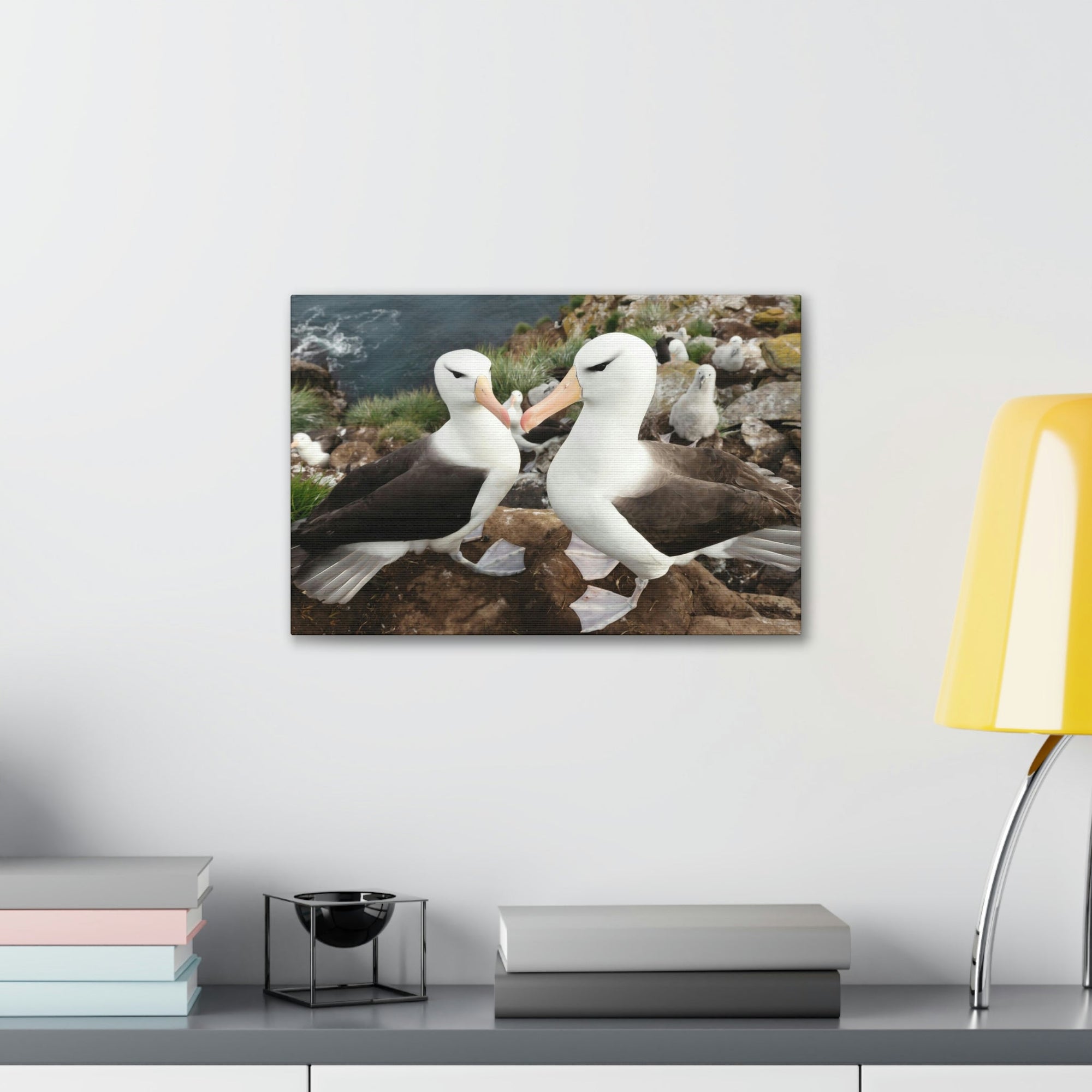 Funny Albatross Kissing Close Up Outside Wall Art Ready to Hang Unframed-Express Your Love Gifts