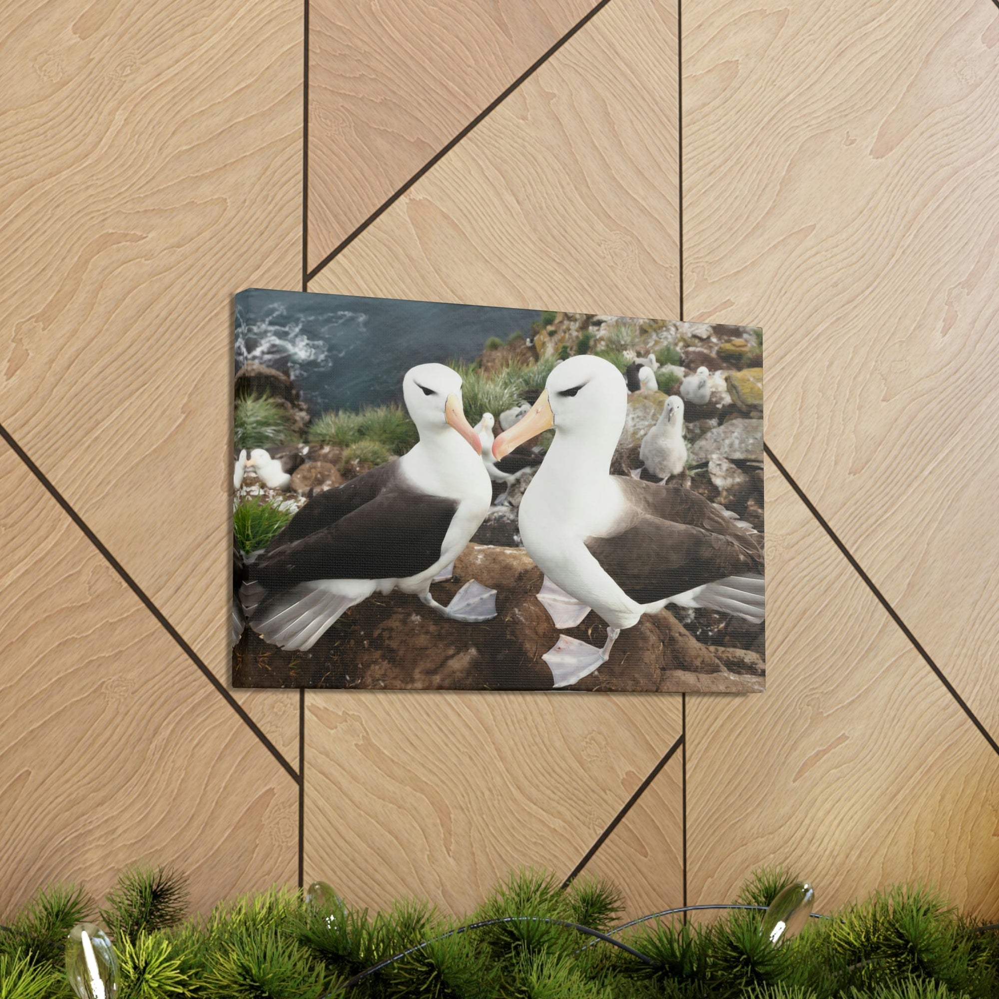 Funny Albatross Kissing Close Up Outside Wall Art Ready to Hang Unframed-Express Your Love Gifts