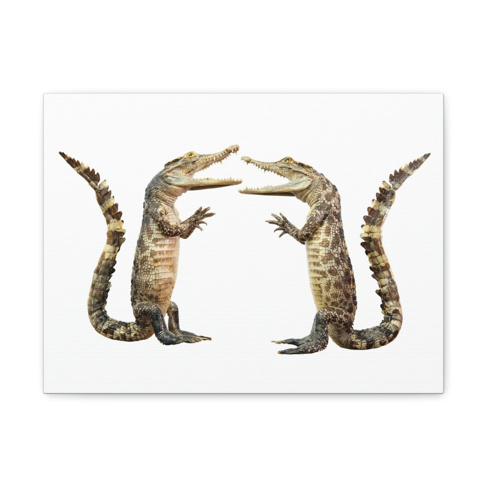 Funny Alligator Couple Dancing Inside Wall Art Ready to Hang Unframed-Express Your Love Gifts