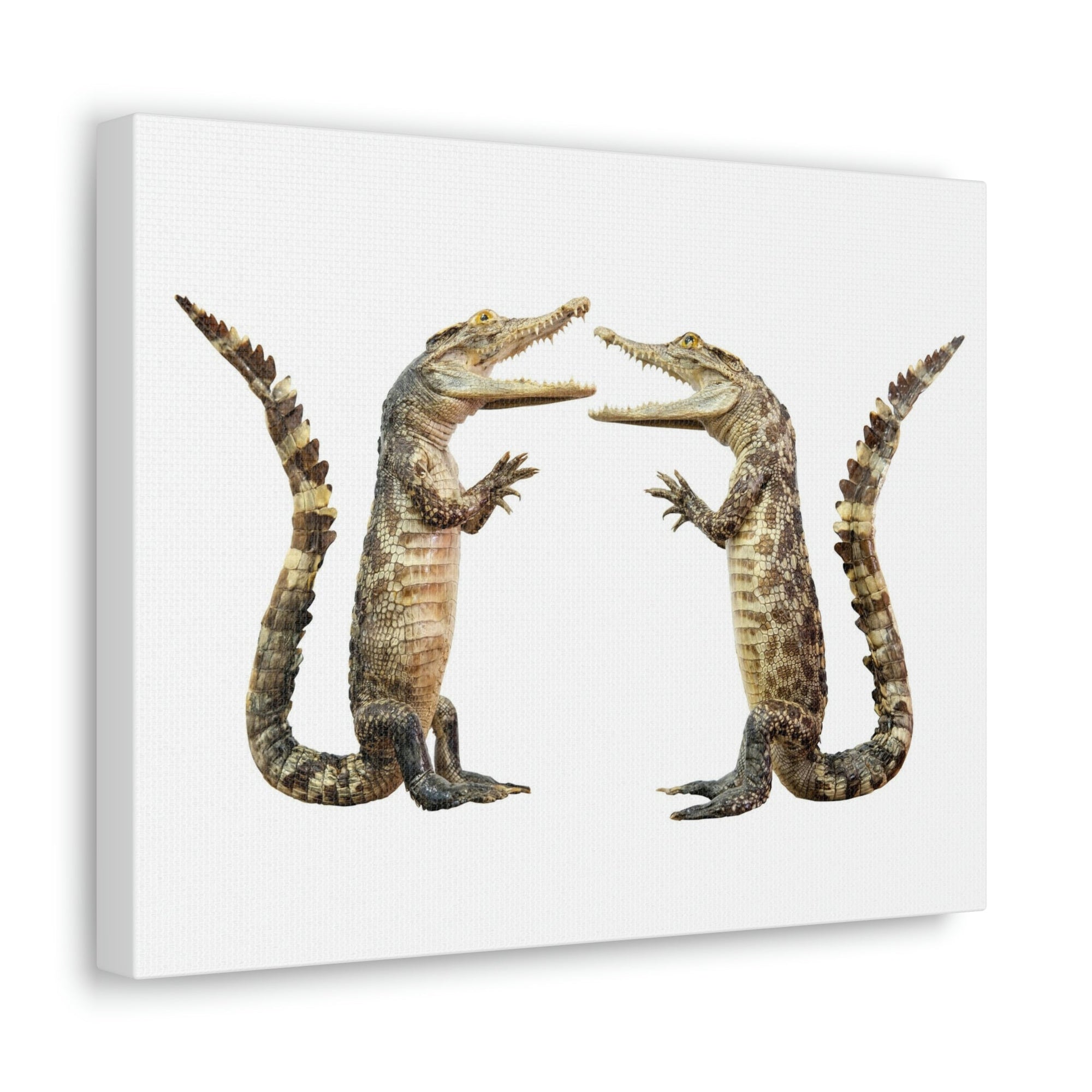 Funny Alligator Couple Dancing Inside Wall Art Ready to Hang Unframed-Express Your Love Gifts