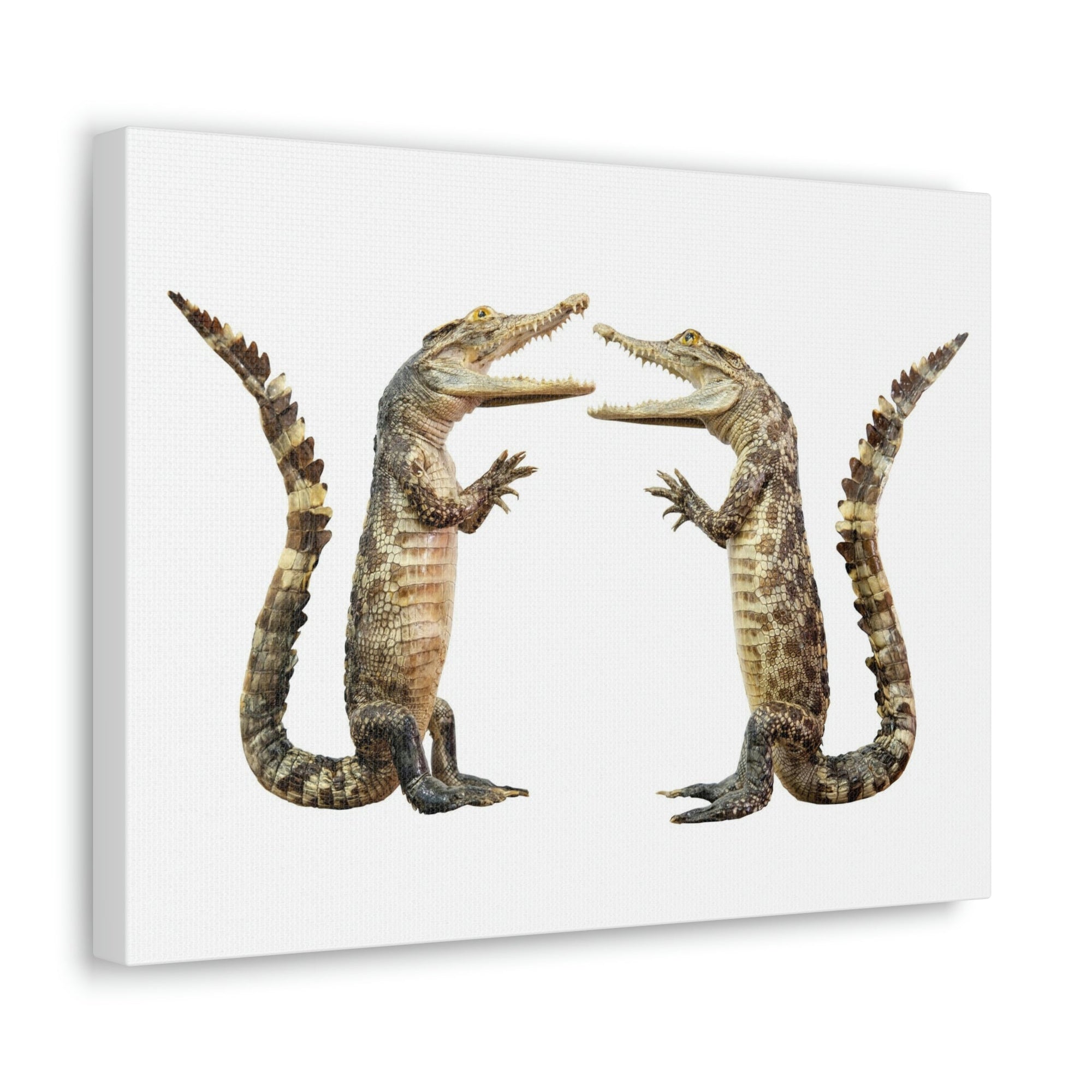 Funny Alligator Couple Dancing Inside Wall Art Ready to Hang Unframed-Express Your Love Gifts