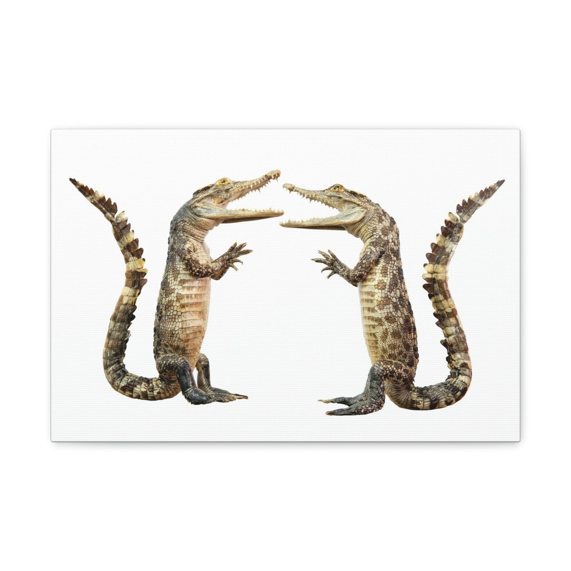 Funny Alligator Couple Dancing Inside Wall Art Ready to Hang Unframed-Express Your Love Gifts