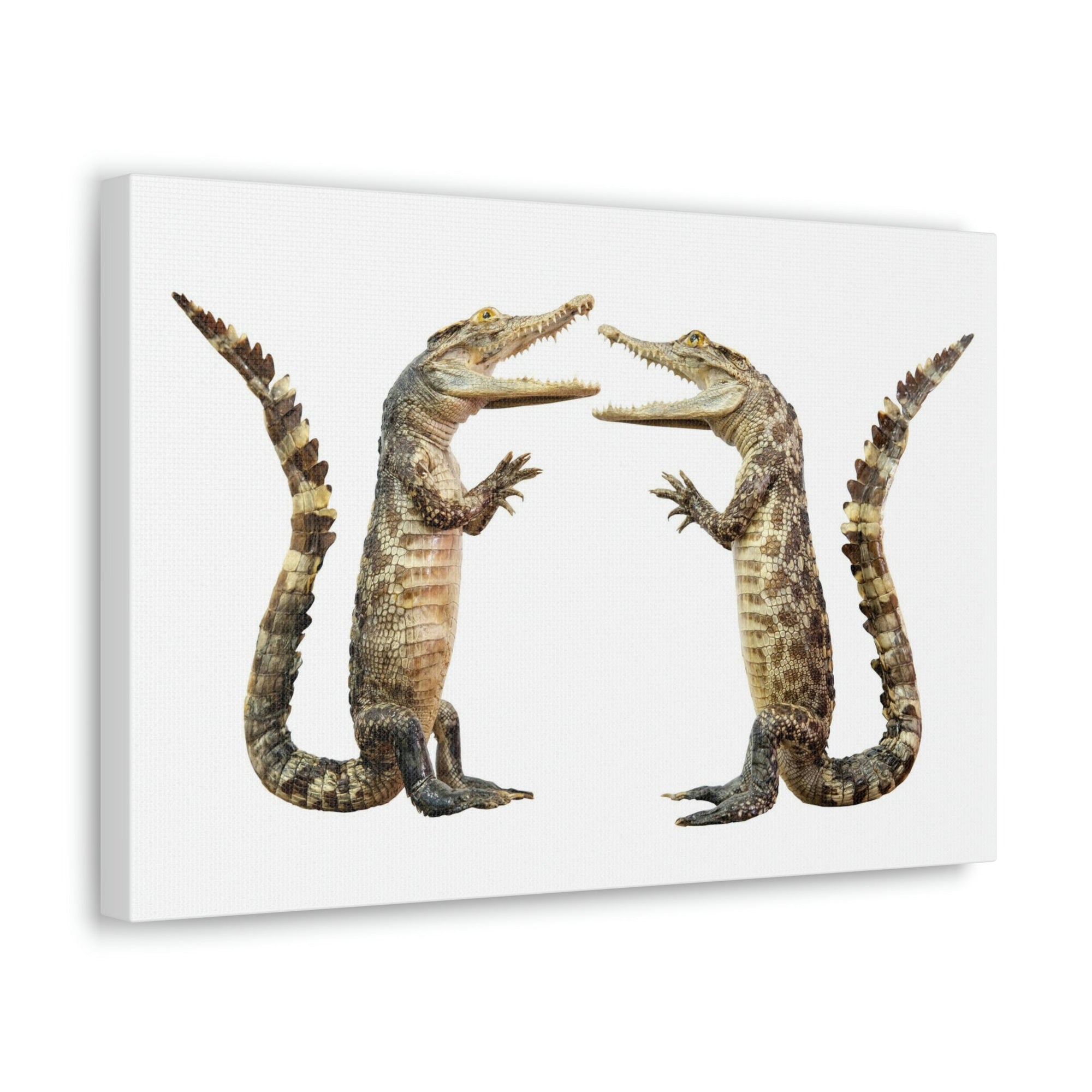 Funny Alligator Couple Dancing Inside Wall Art Ready to Hang Unframed-Express Your Love Gifts