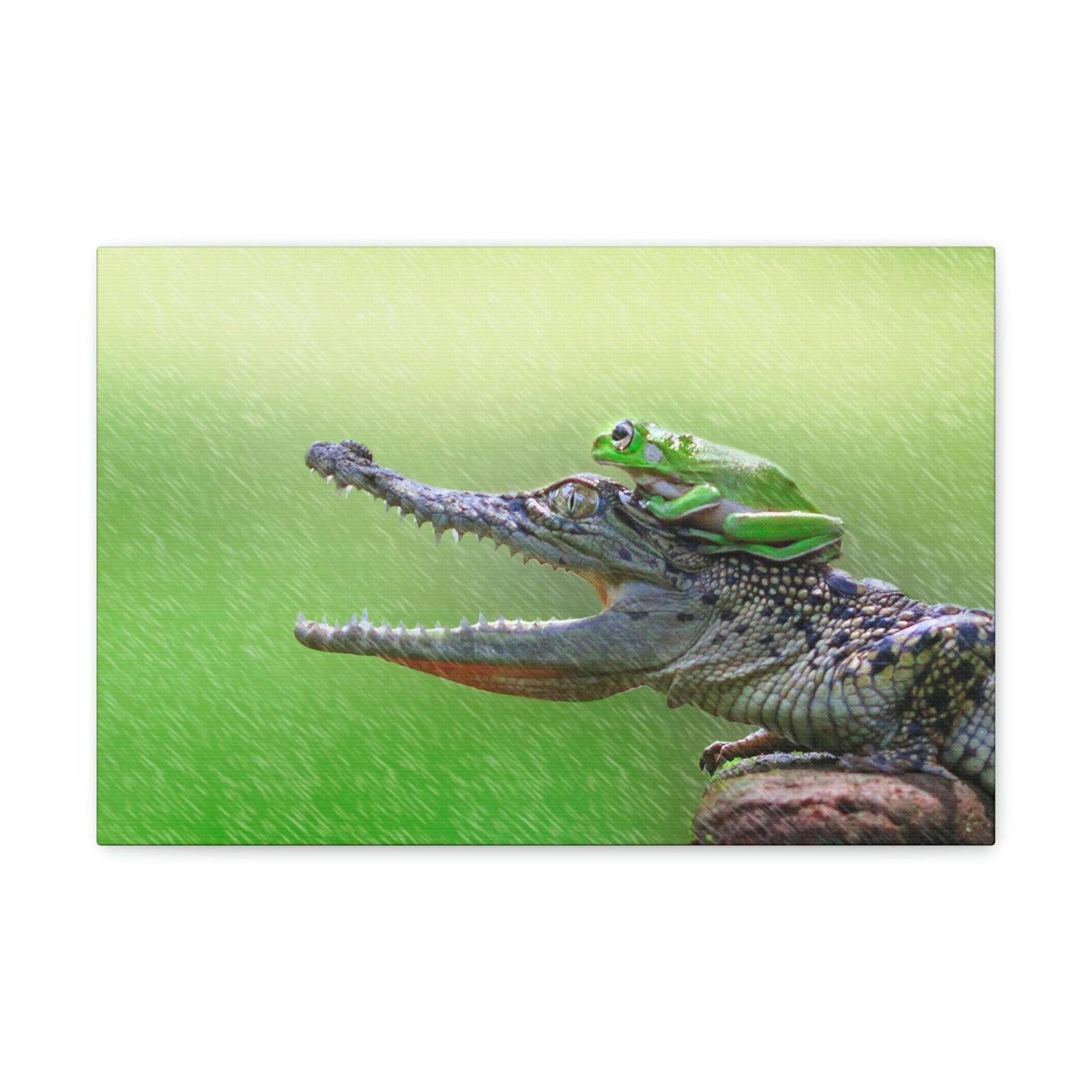 Funny Alligator With Frog on Top of The Head Outside Wall Art Ready to Hang Unframed-Express Your Love Gifts