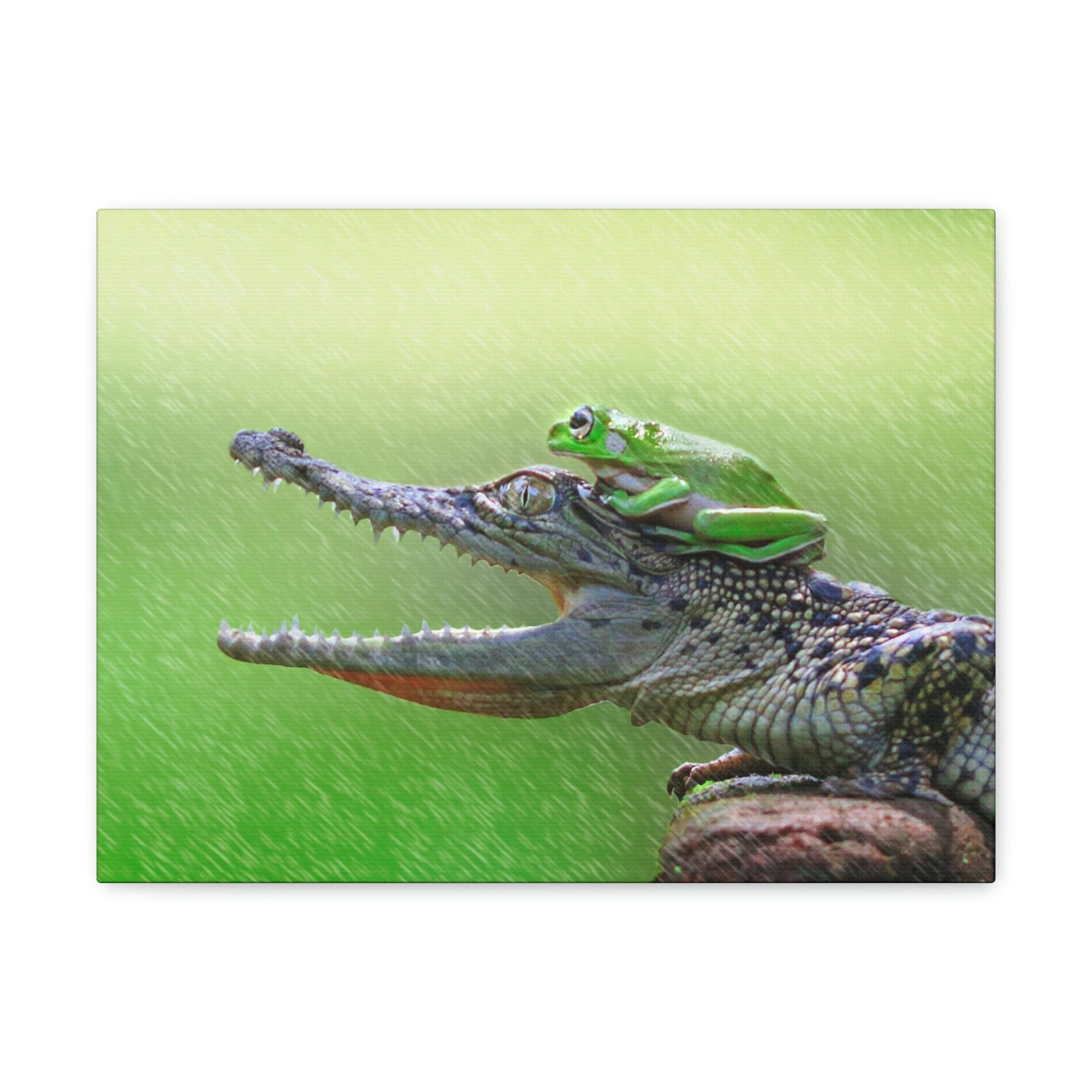 Funny Alligator With Frog on Top of The Head Outside Wall Art Ready to Hang Unframed-Express Your Love Gifts