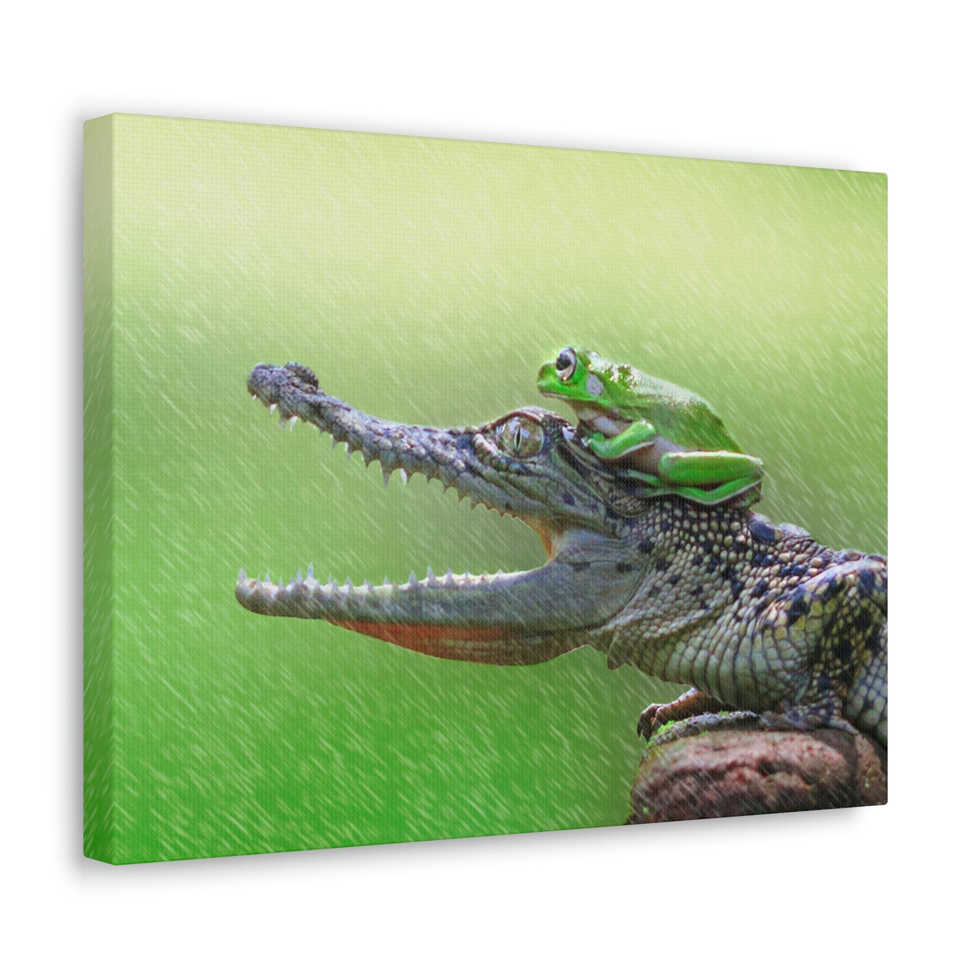 Funny Alligator With Frog on Top of The Head Outside Wall Art Ready to Hang Unframed-Express Your Love Gifts