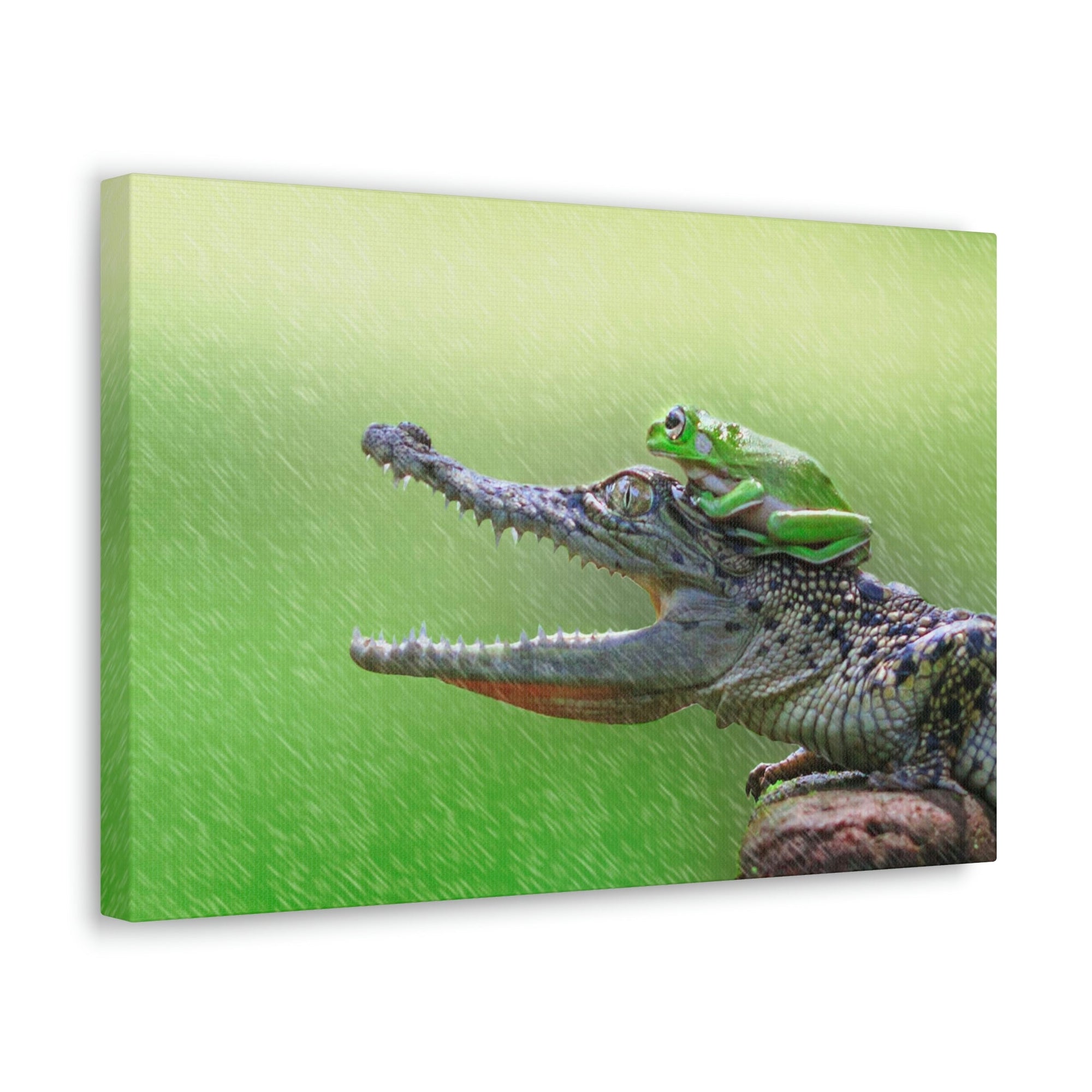 Funny Alligator With Frog on Top of The Head Outside Wall Art Ready to Hang Unframed-Express Your Love Gifts