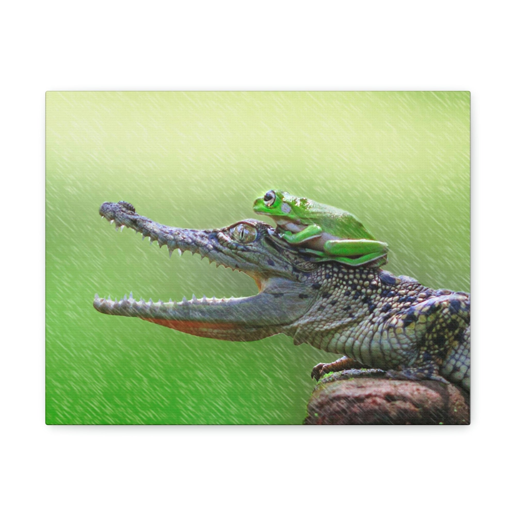 Funny Alligator With Frog on Top of The Head Outside Wall Art Ready to Hang Unframed-Express Your Love Gifts