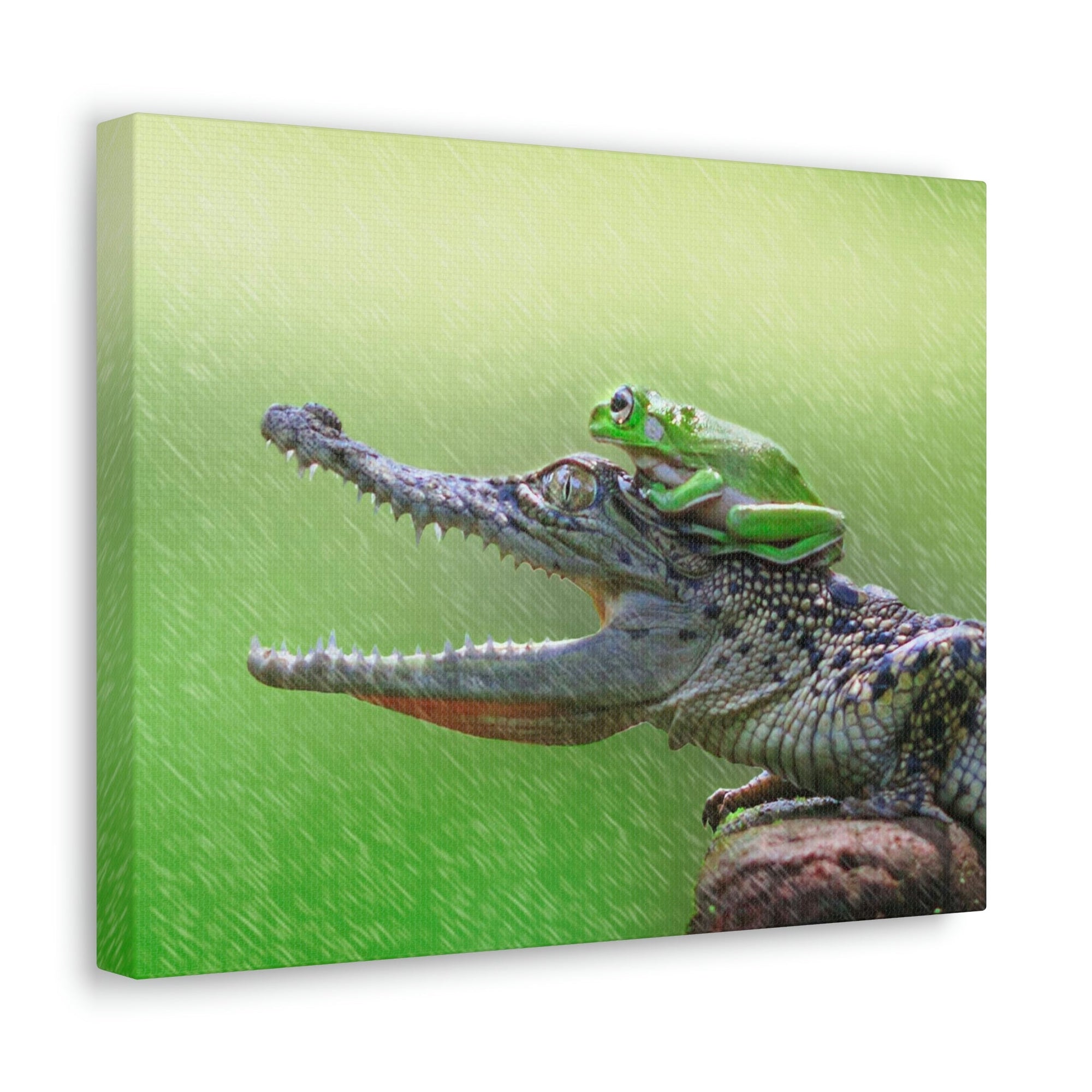 Funny Alligator With Frog on Top of The Head Outside Wall Art Ready to Hang Unframed-Express Your Love Gifts