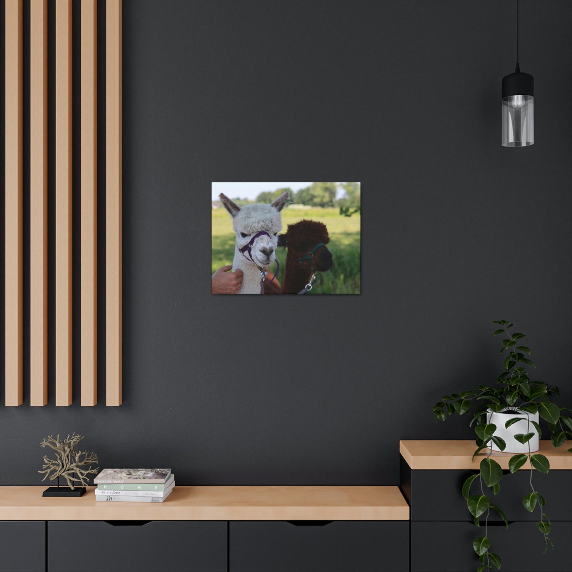 Funny Alpaca Couple Outside Wall Art Ready to Hang Unframed-Express Your Love Gifts