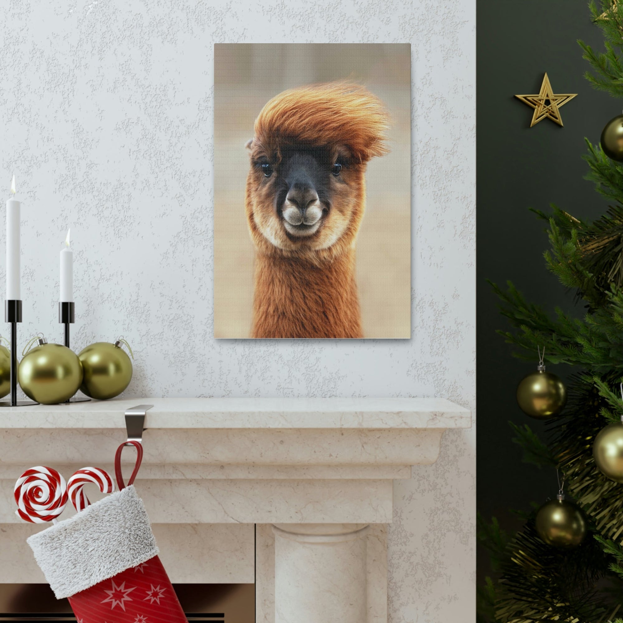 Funny Alpaca Selfie Outside Wall Art Ready to Hang Unframed-Express Your Love Gifts