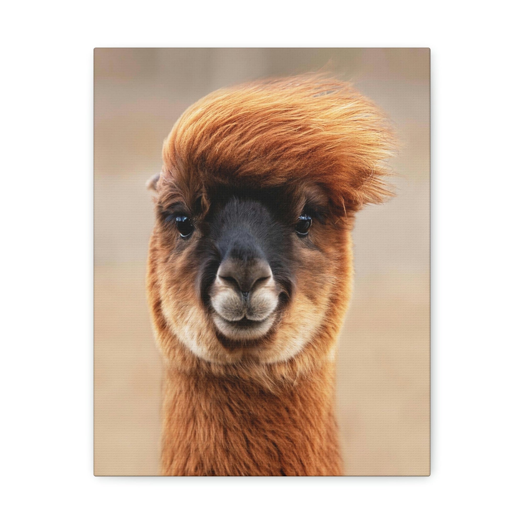 Funny Alpaca Selfie Outside Wall Art Ready to Hang Unframed-Express Your Love Gifts