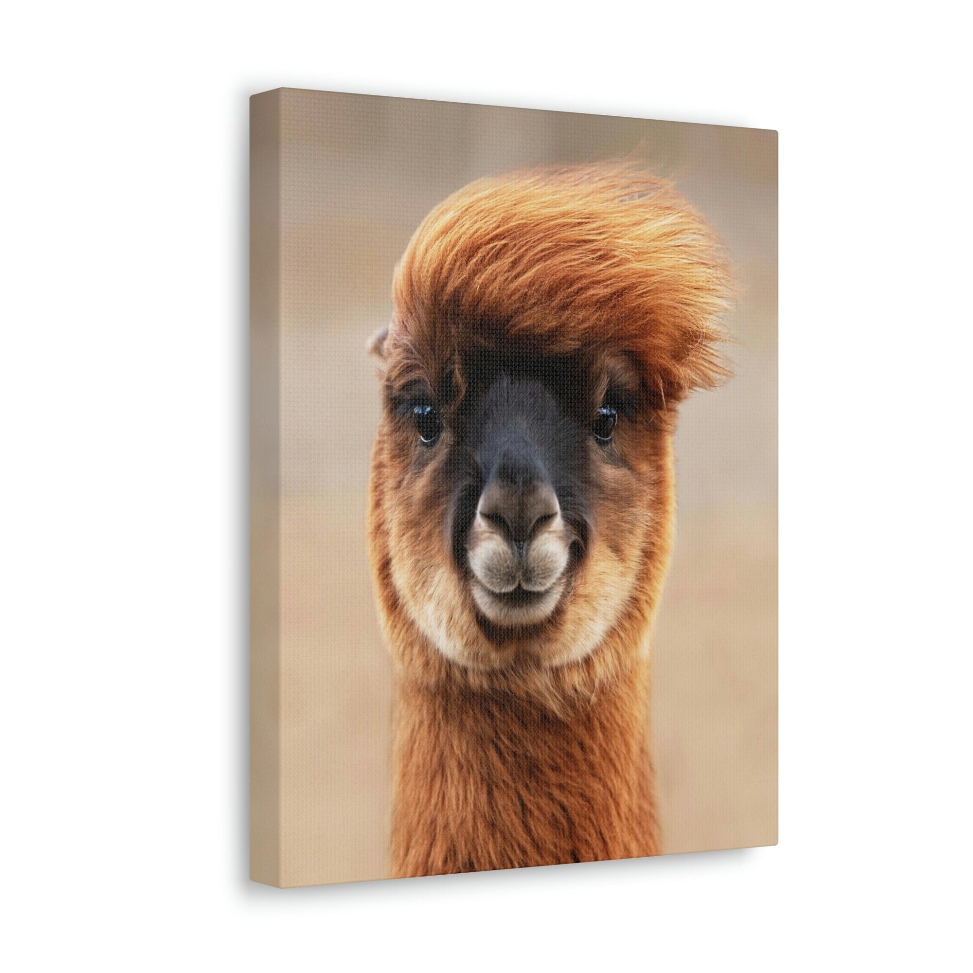 Funny Alpaca Selfie Outside Wall Art Ready to Hang Unframed-Express Your Love Gifts