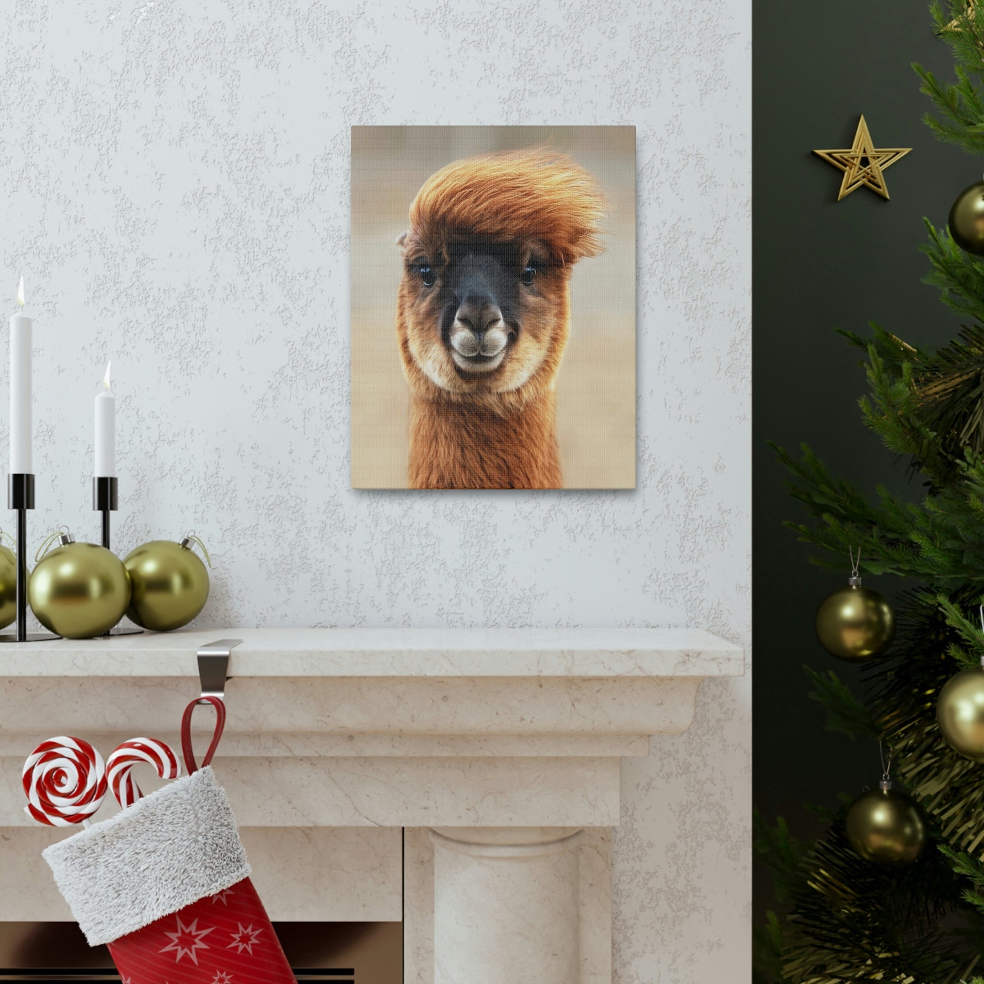 Funny Alpaca Selfie Outside Wall Art Ready to Hang Unframed-Express Your Love Gifts