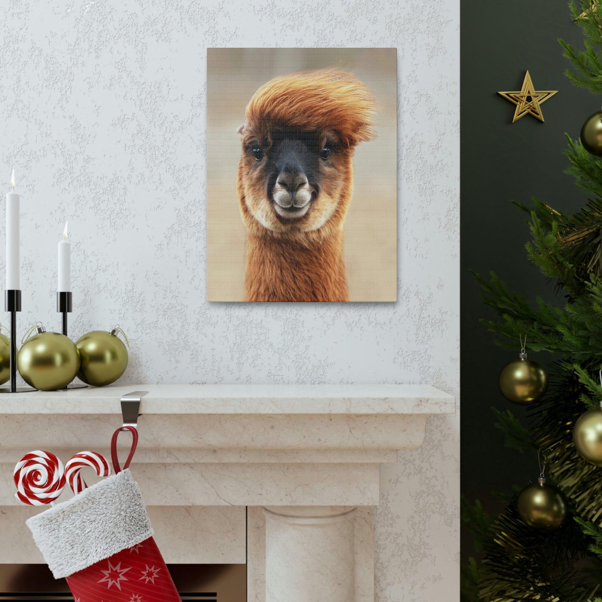 Funny Alpaca Selfie Outside Wall Art Ready to Hang Unframed-Express Your Love Gifts