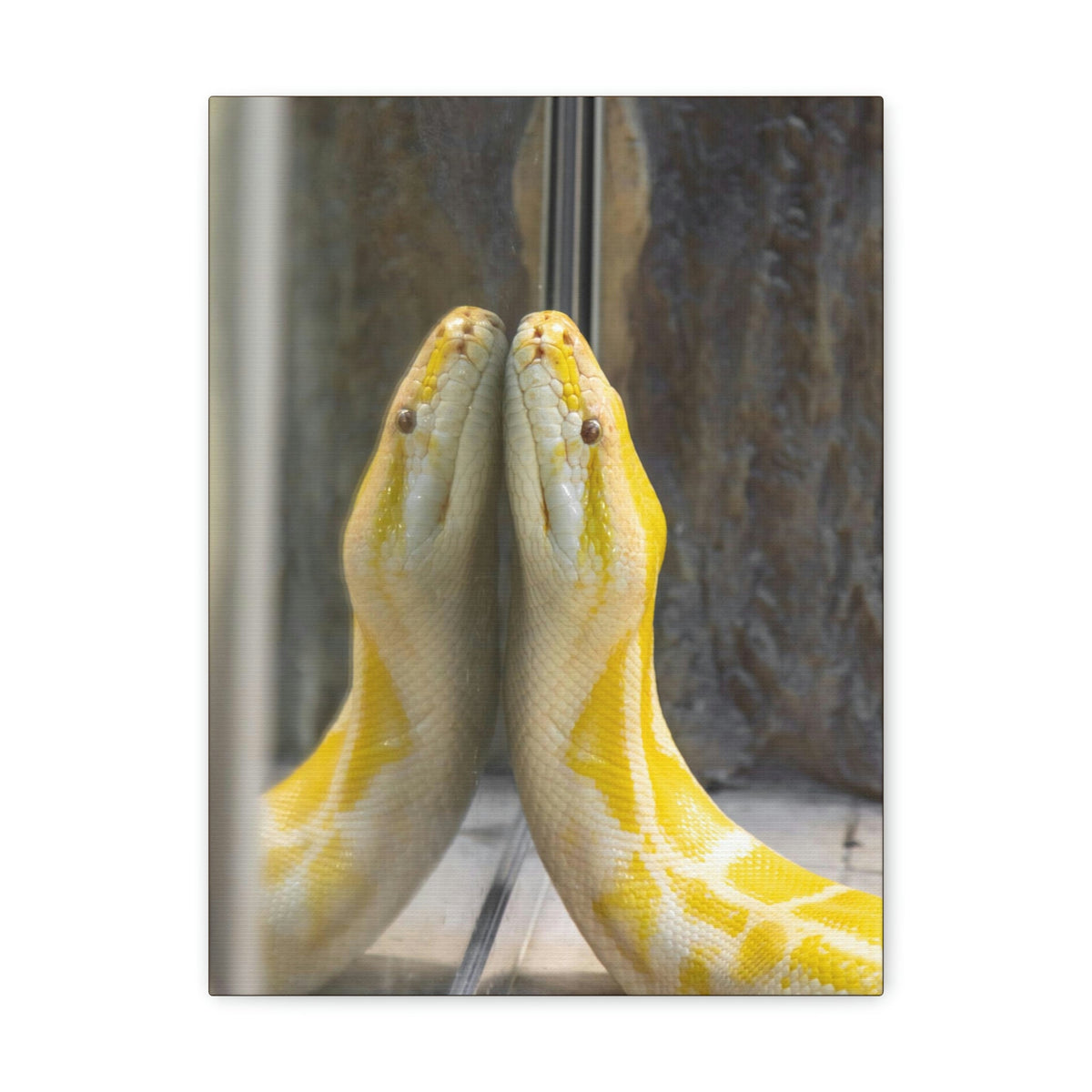 Funny Anaconda Silly Anaconda Inside Wall Art Ready to Hang Unframed-Express Your Love Gifts