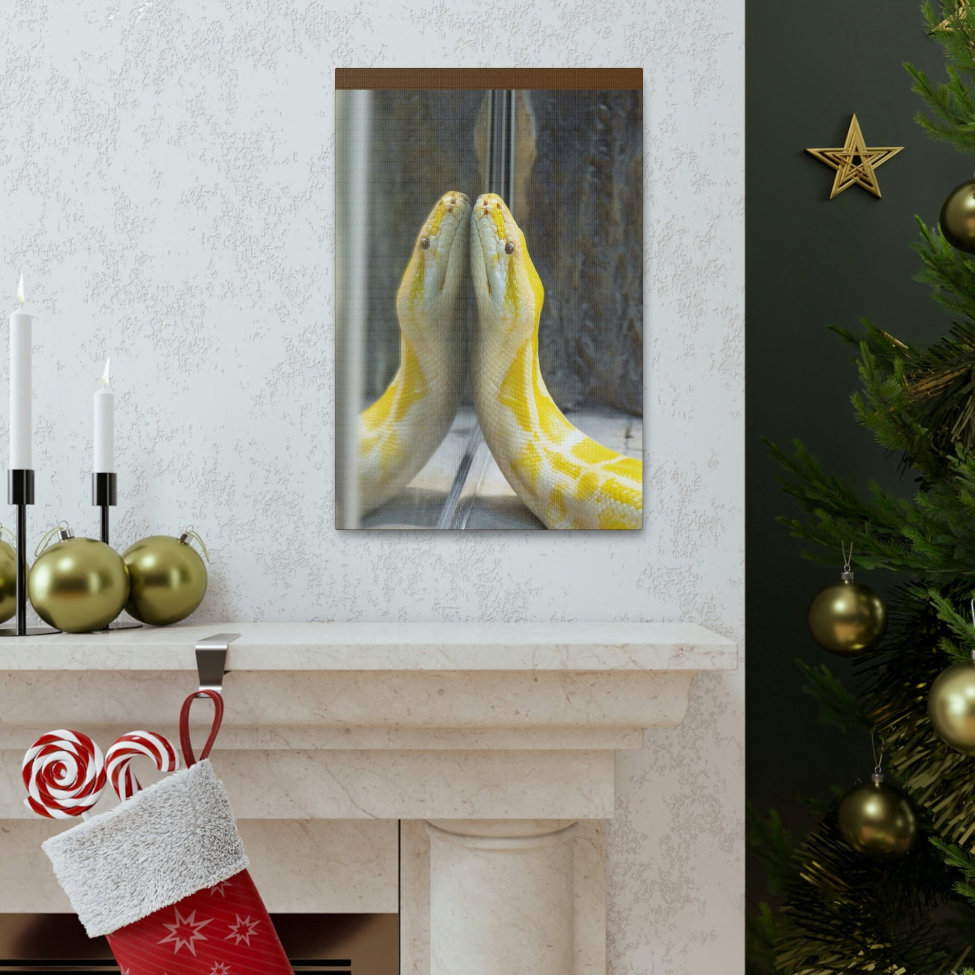 Funny Anaconda Silly Anaconda Inside Wall Art Ready to Hang Unframed-Express Your Love Gifts